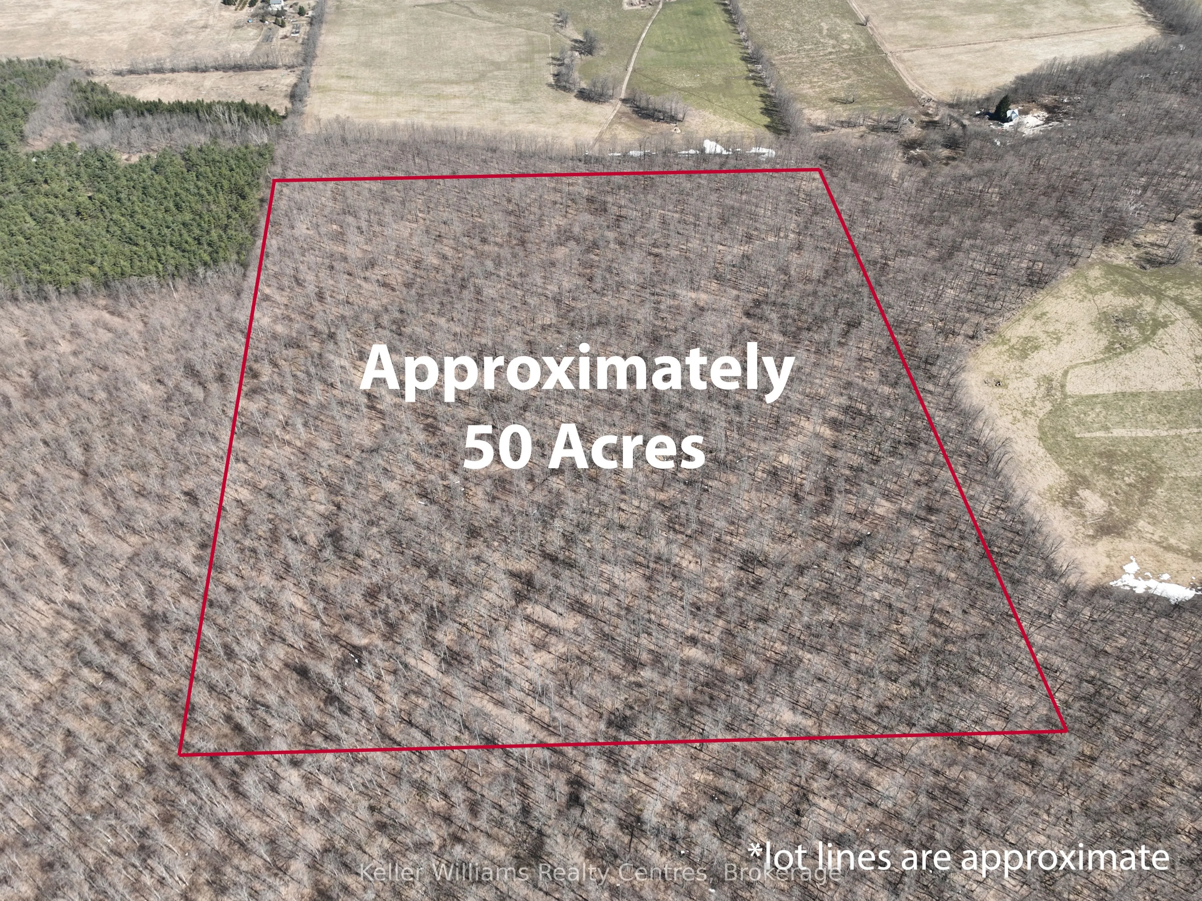463176 Concession 24 Acres S