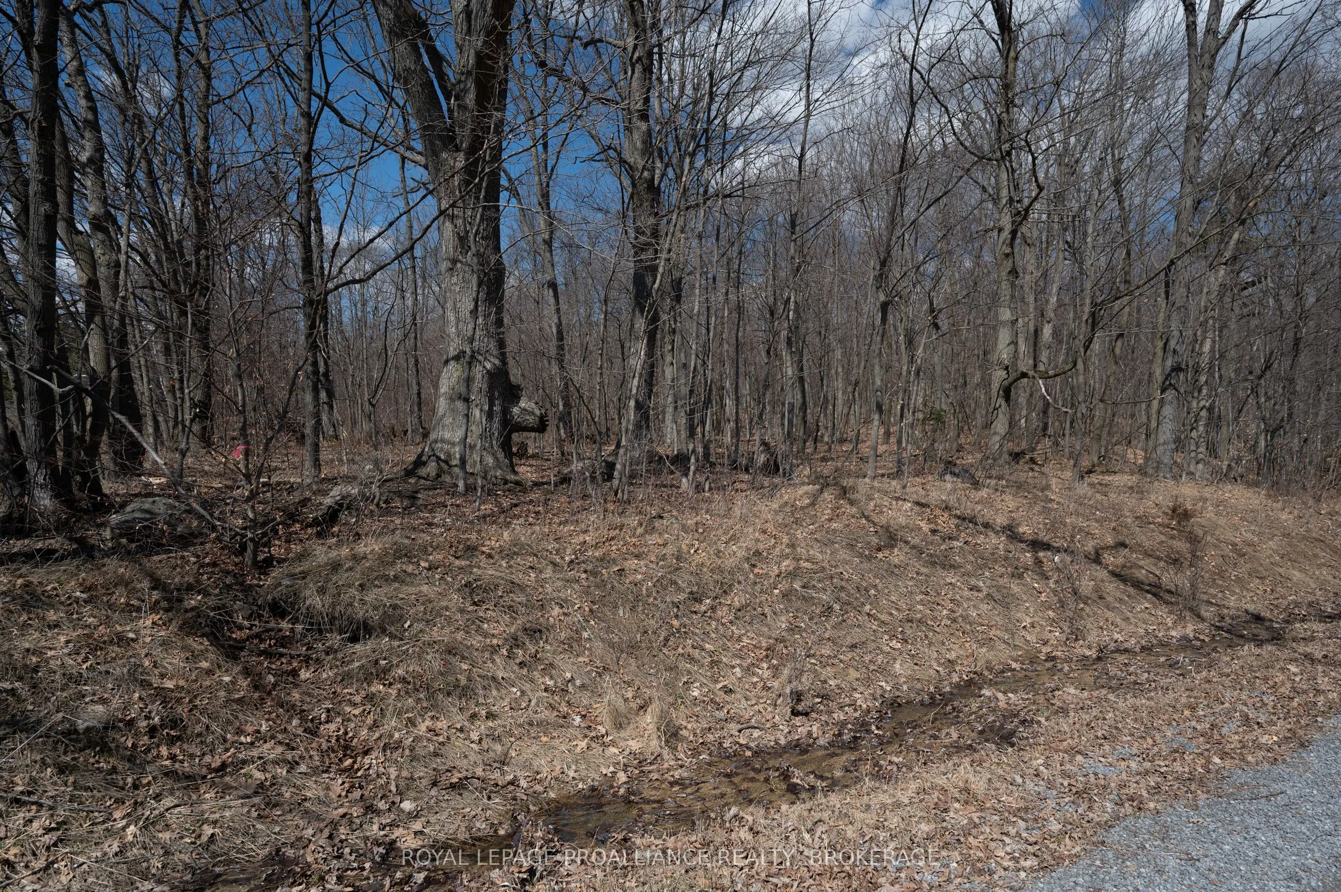 Lot 3 Baseline Road