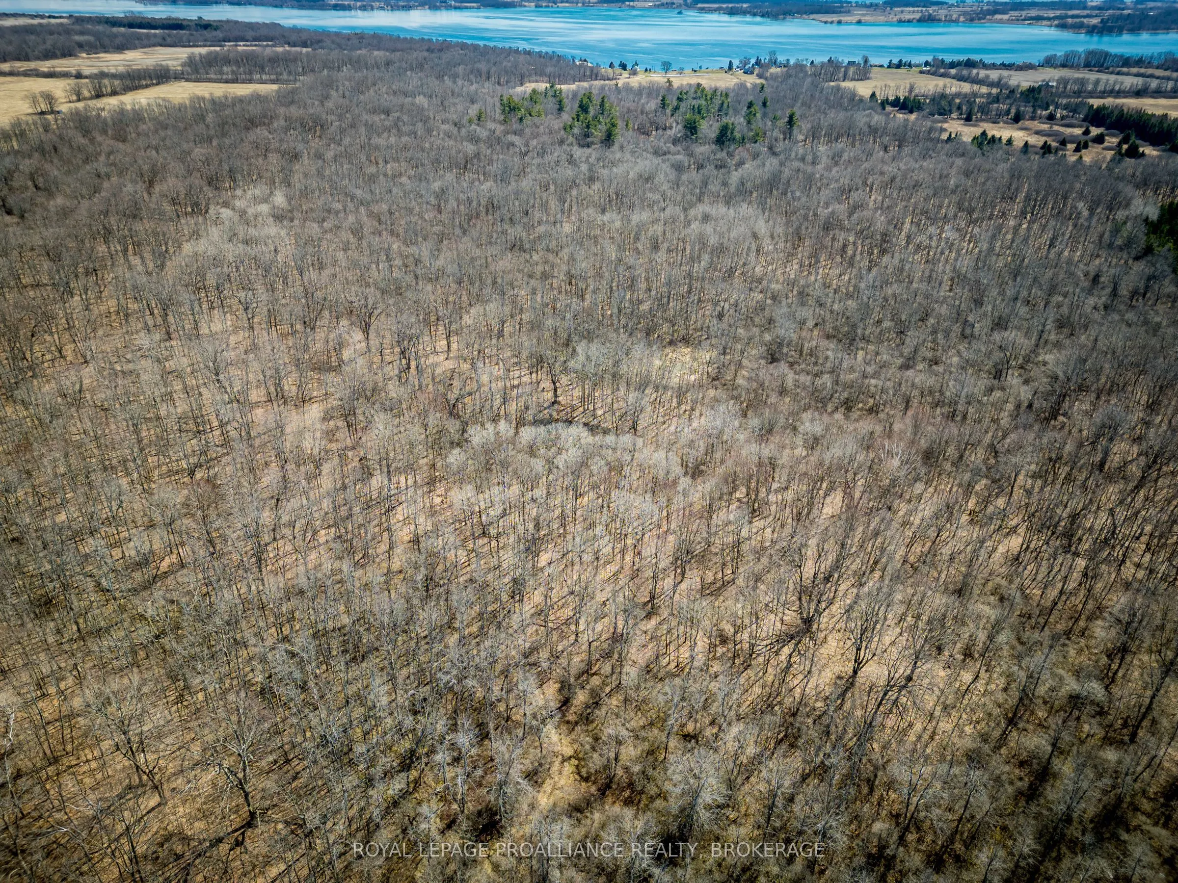 Lot 3 Baseline Road