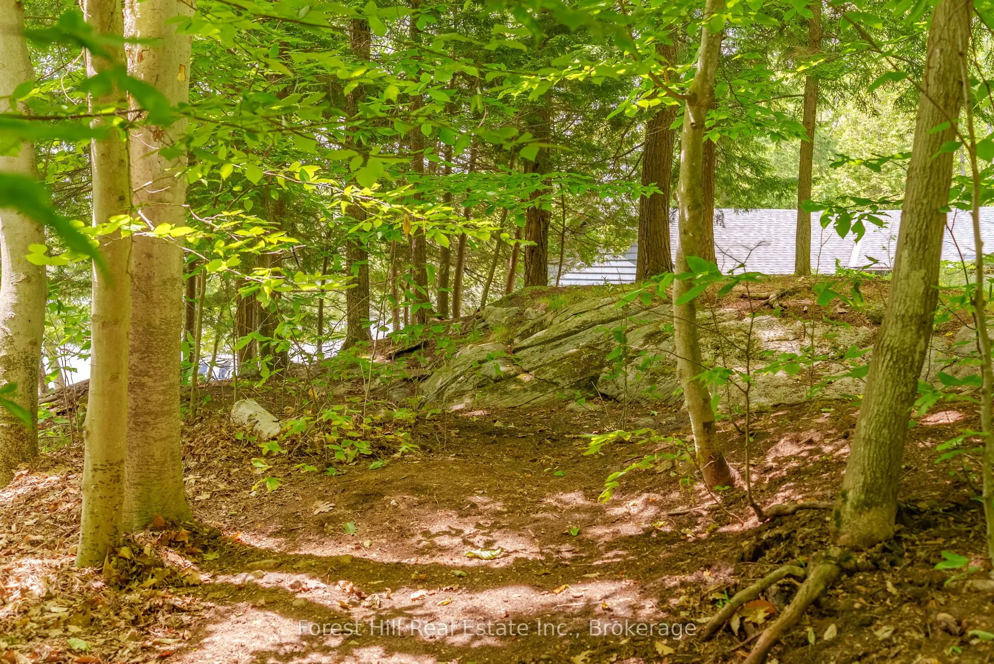 1054 Fair-Lee Park Road