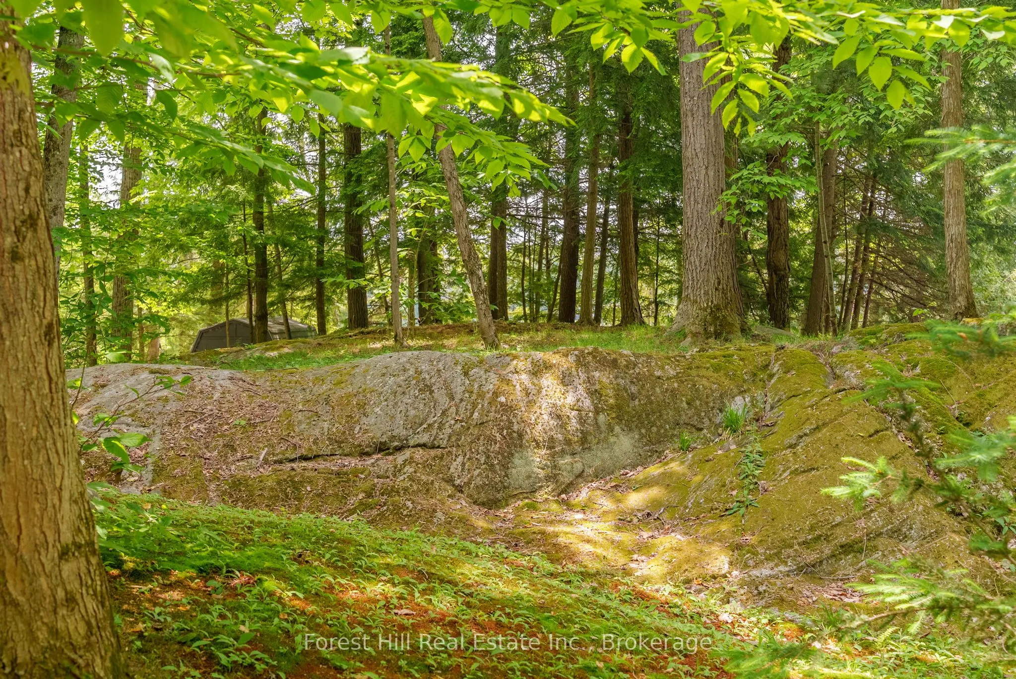 1054 Fair-Lee Park Road