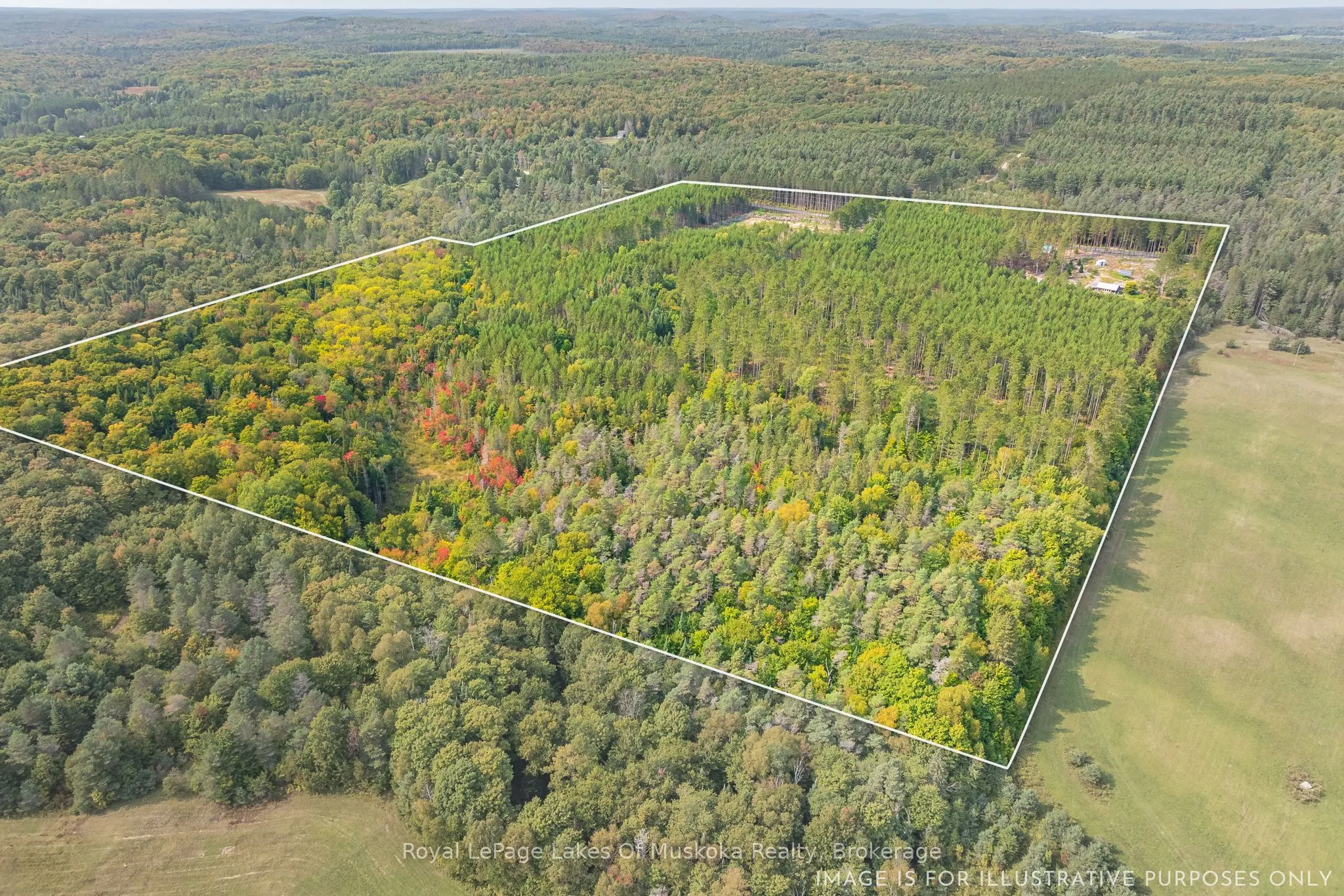 165 JAMES CAMP Road
