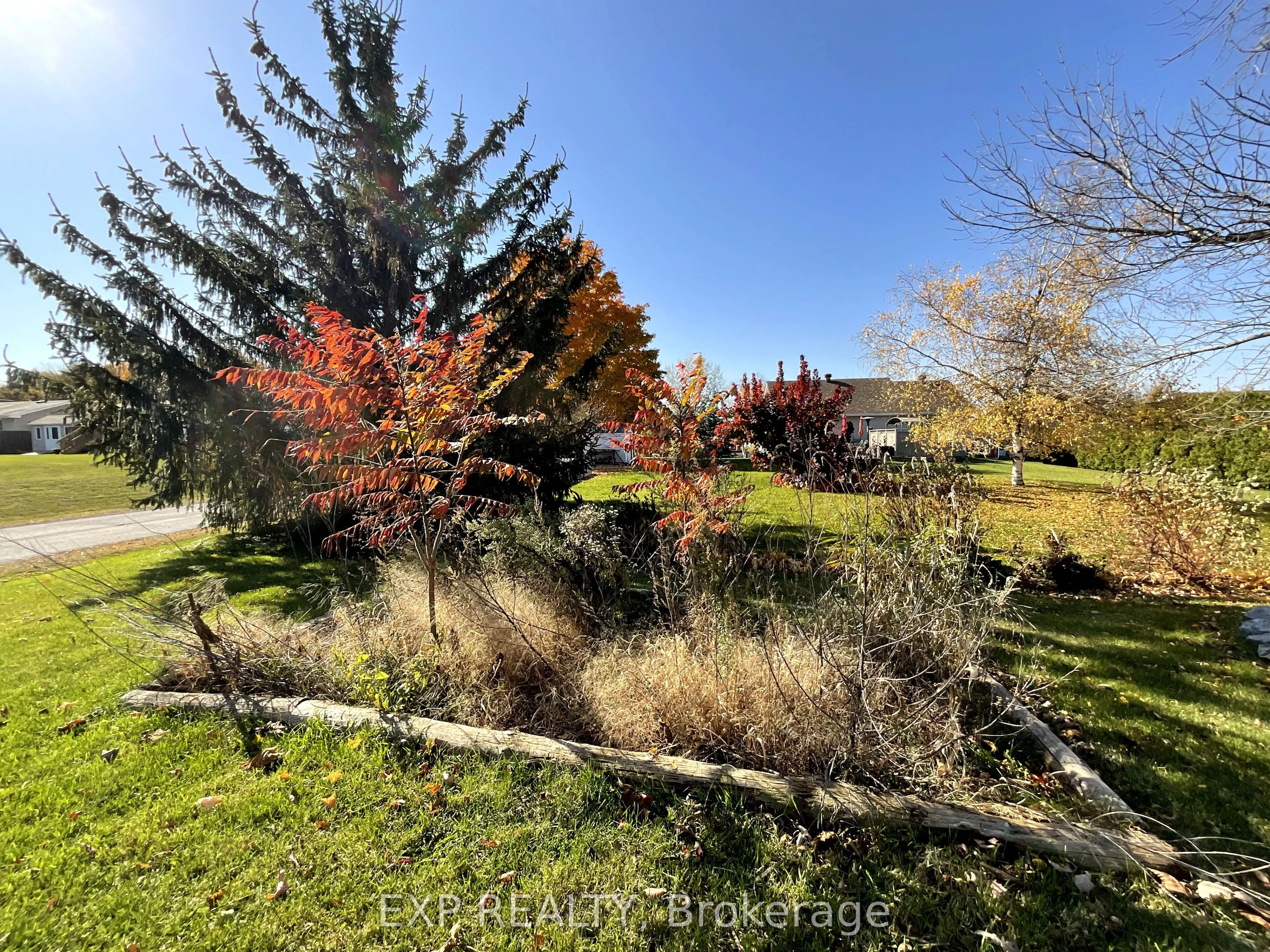 26 Penny Lane