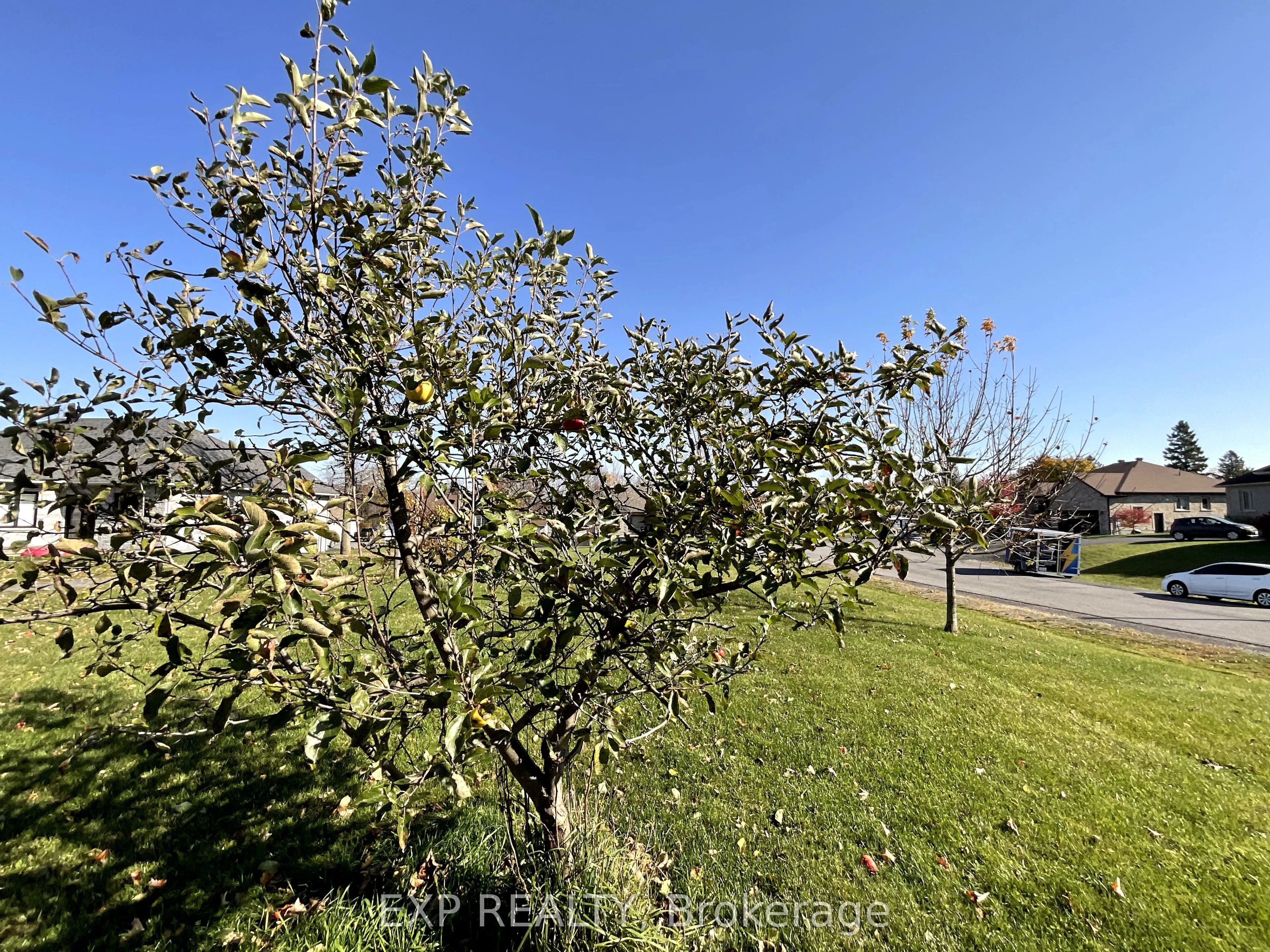 26 Penny Lane