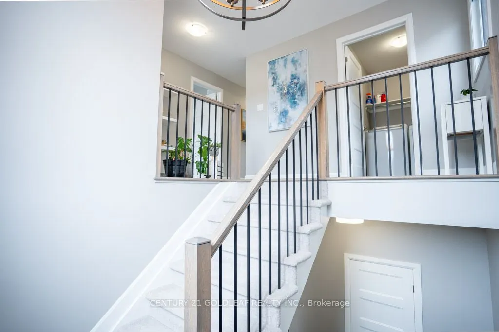13 Livya Street