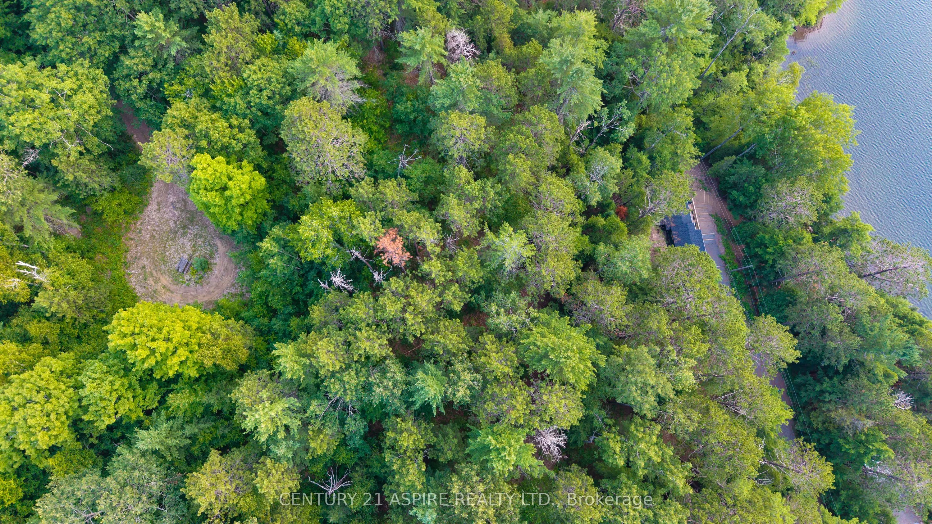 158 EASTSIDE TROUT LAKE Lane