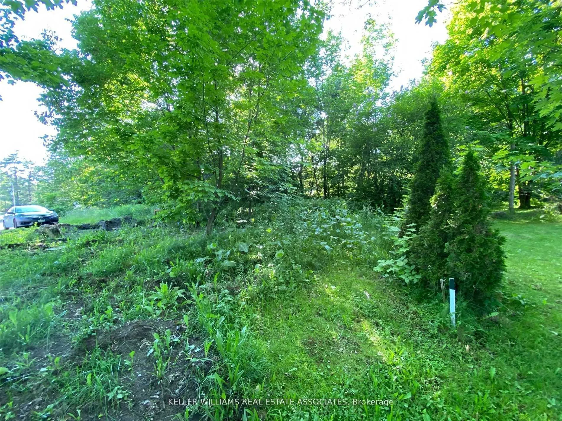 3172 Muskoka 169 Road