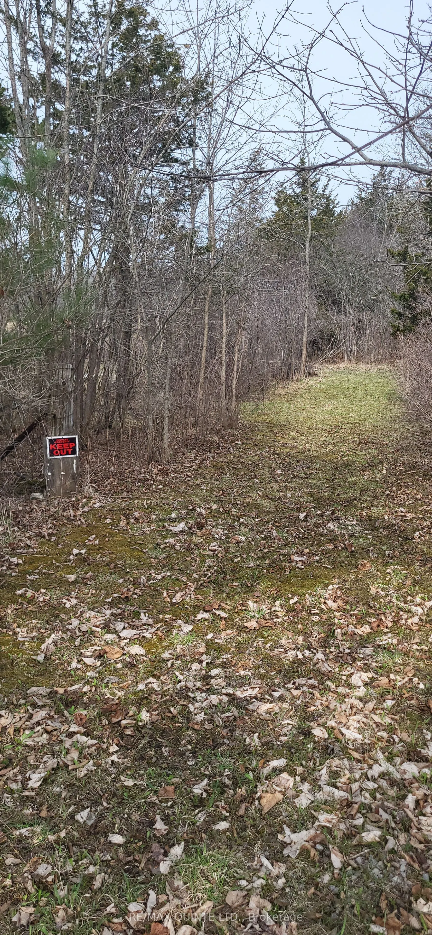 Across From 3904 Cty Rd 49