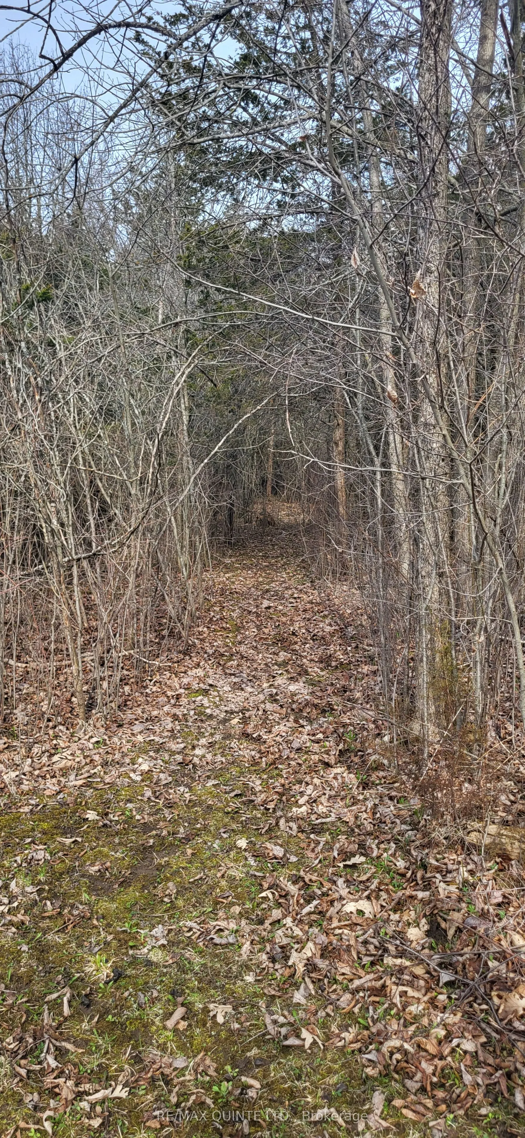 Across From 3904 Cty Rd 49