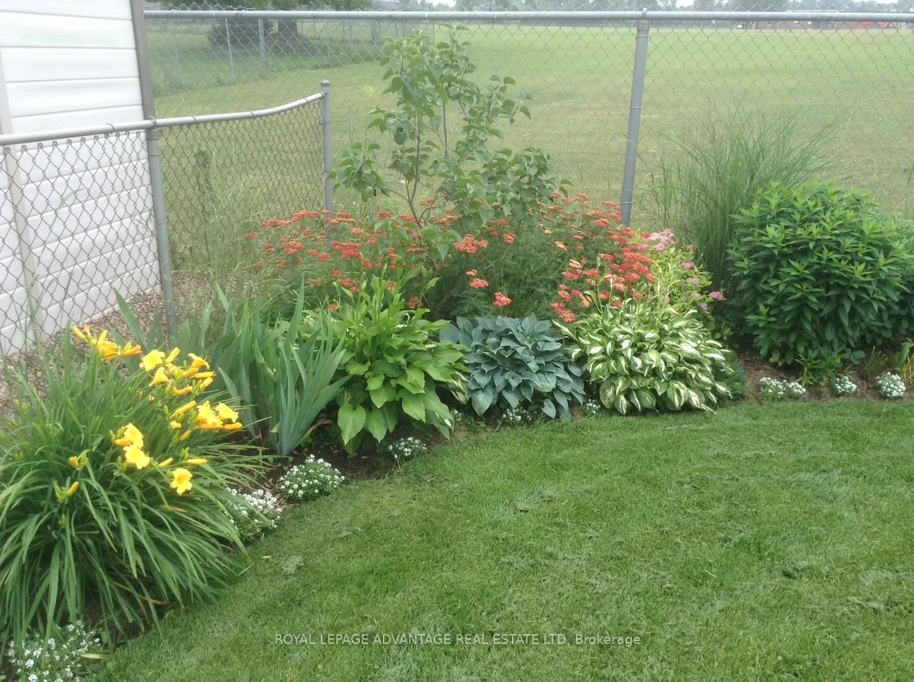 264 Glenwood Crescent