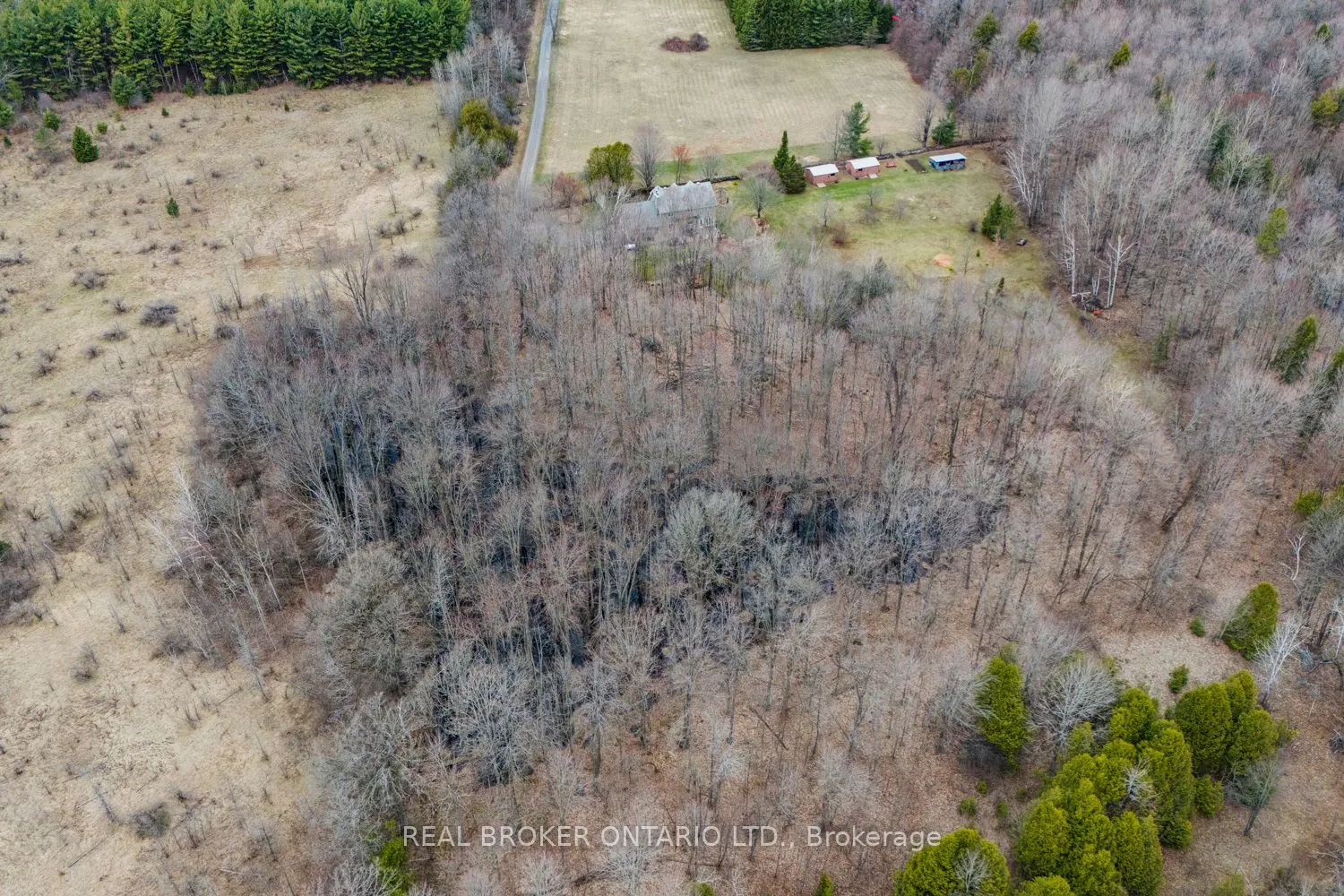 1954 Abbott Road