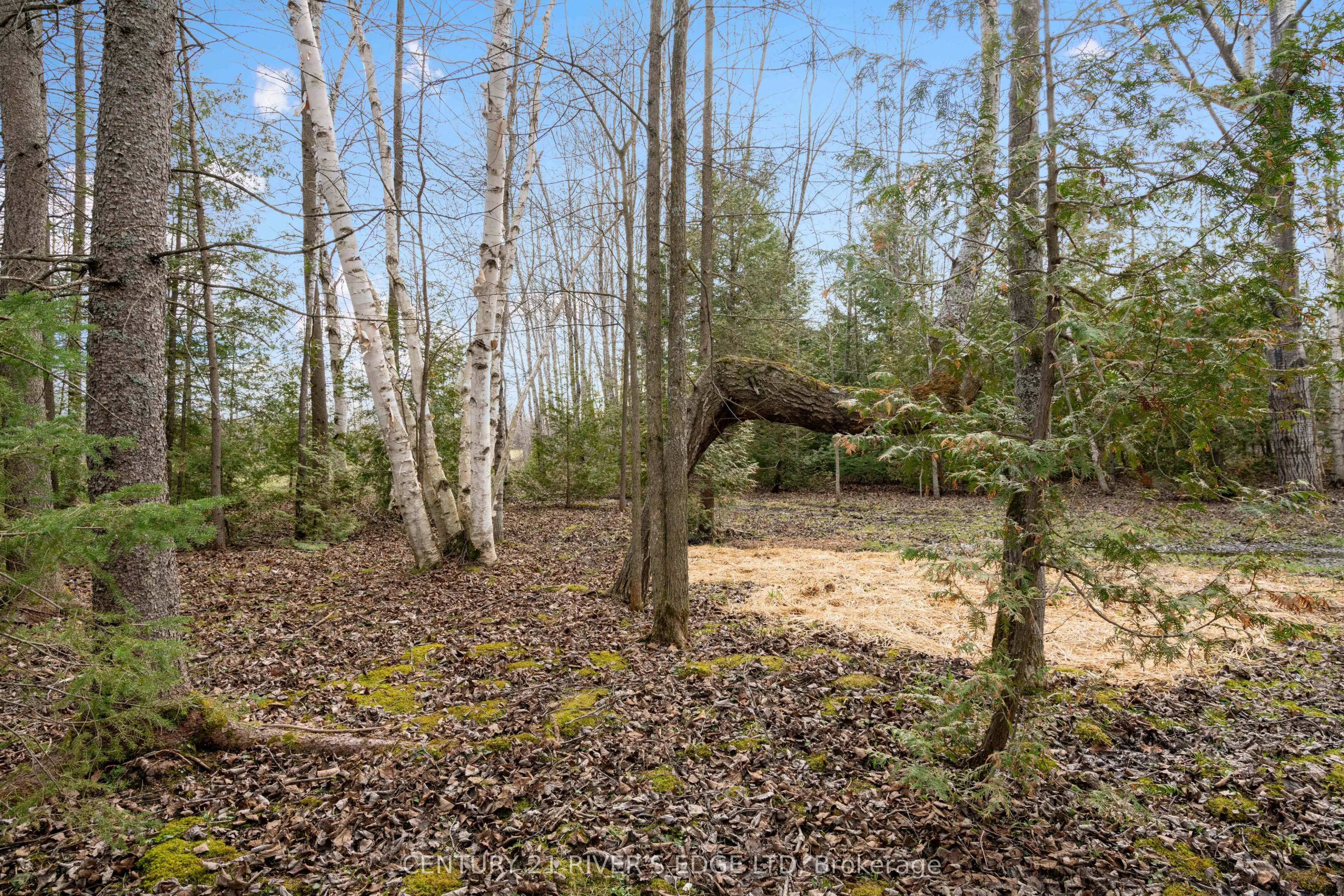 308 FORBES Road