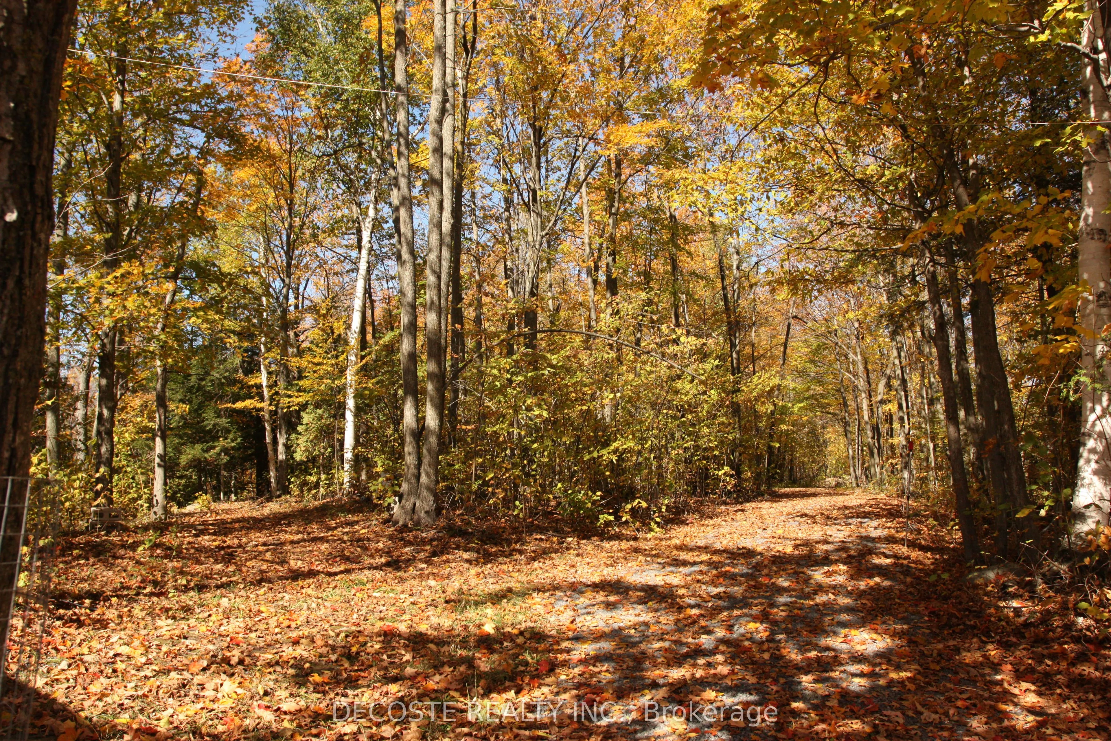 0000 COUNTY 43 Road