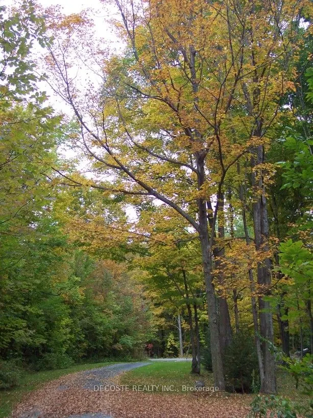 0000 COUNTY 43 Road