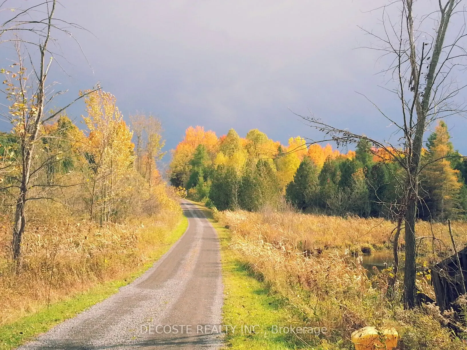 0000 COUNTY 43 Road