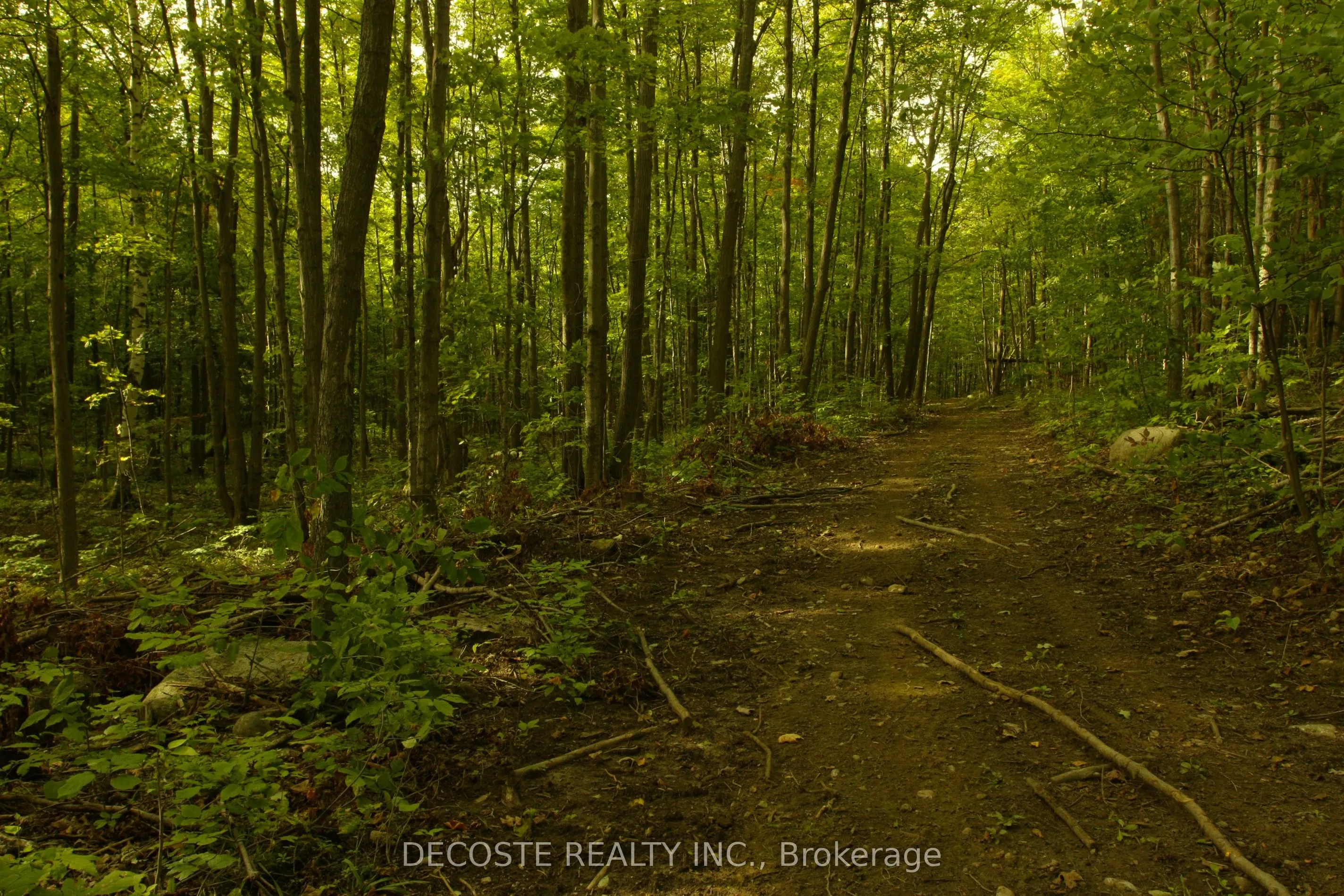 0000 COUNTY 43 Road