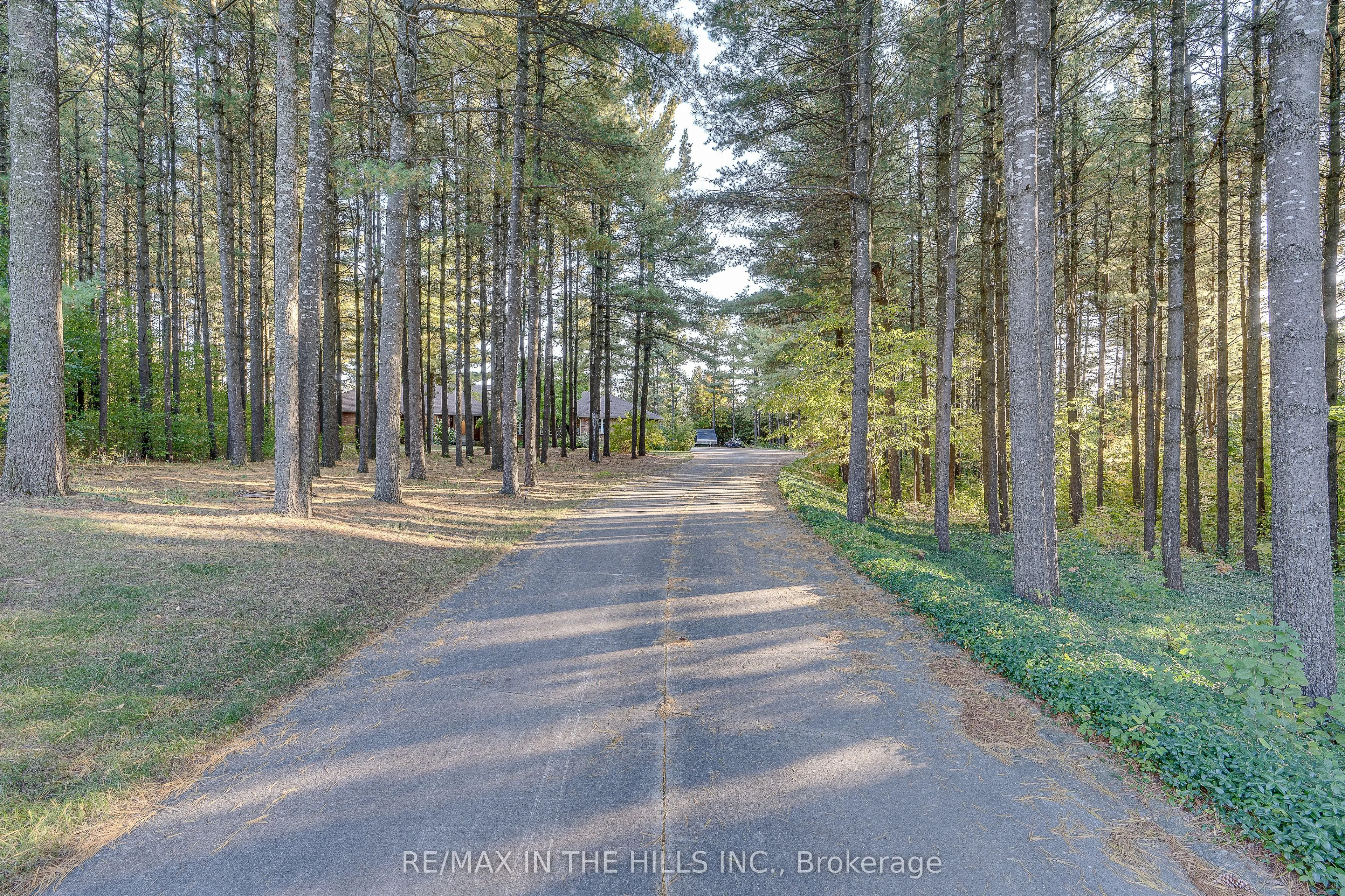 41 Pine Ridge Road