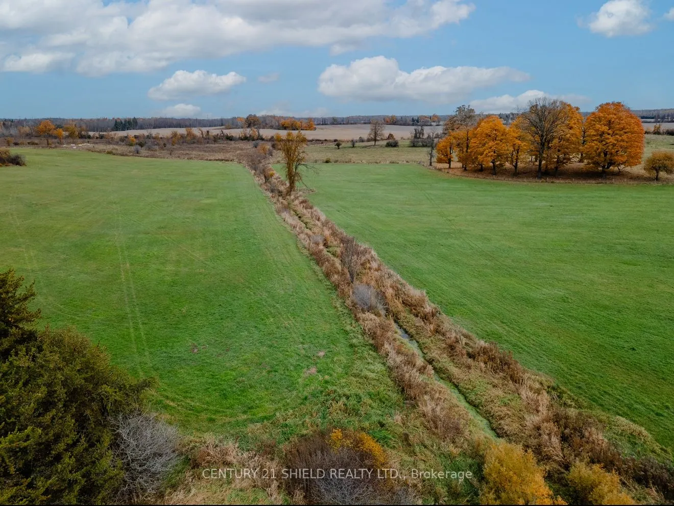 18985 Paragon Road