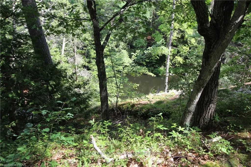 Lot B KEHOE Lane