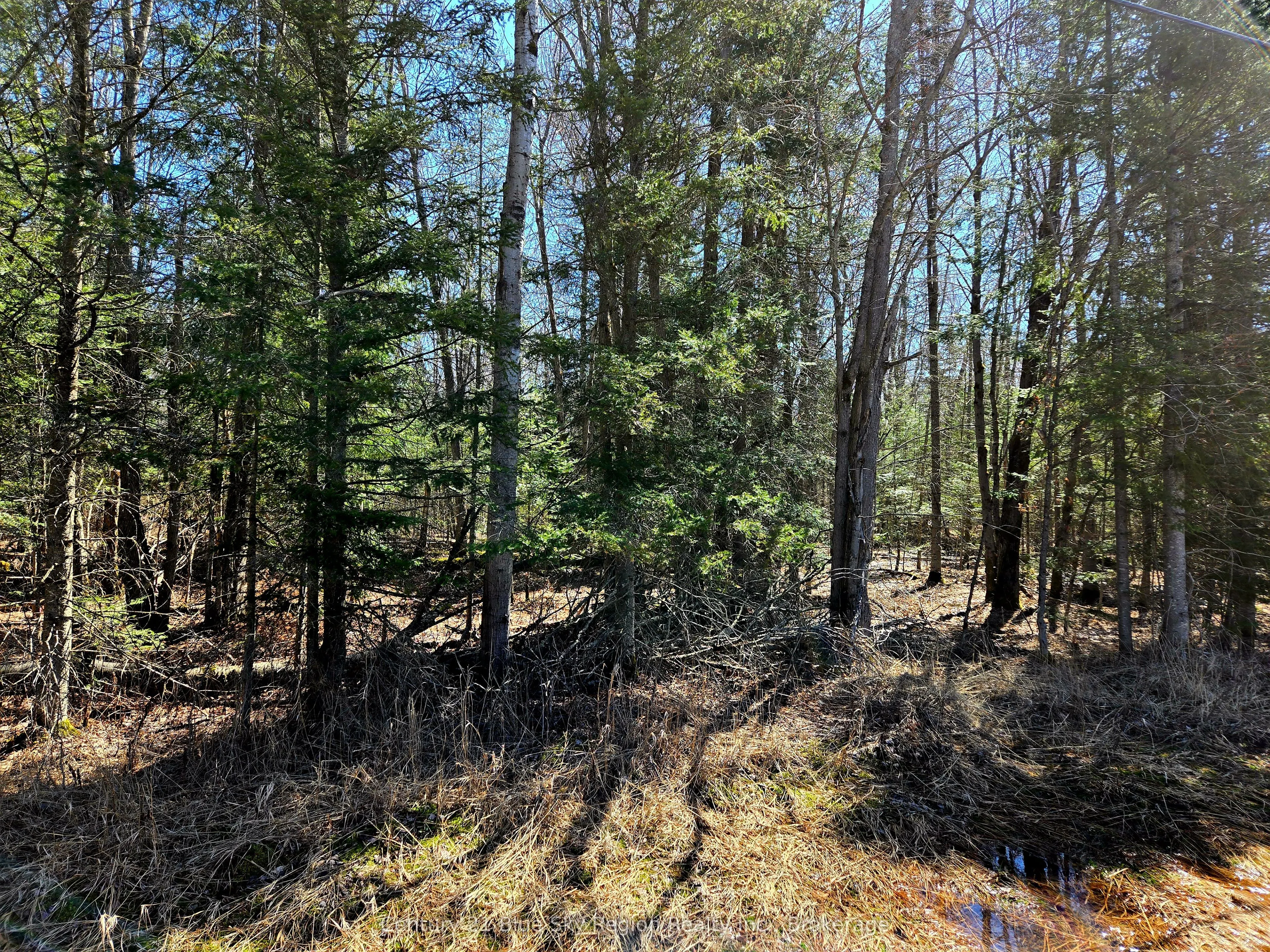 3267 Highway 534