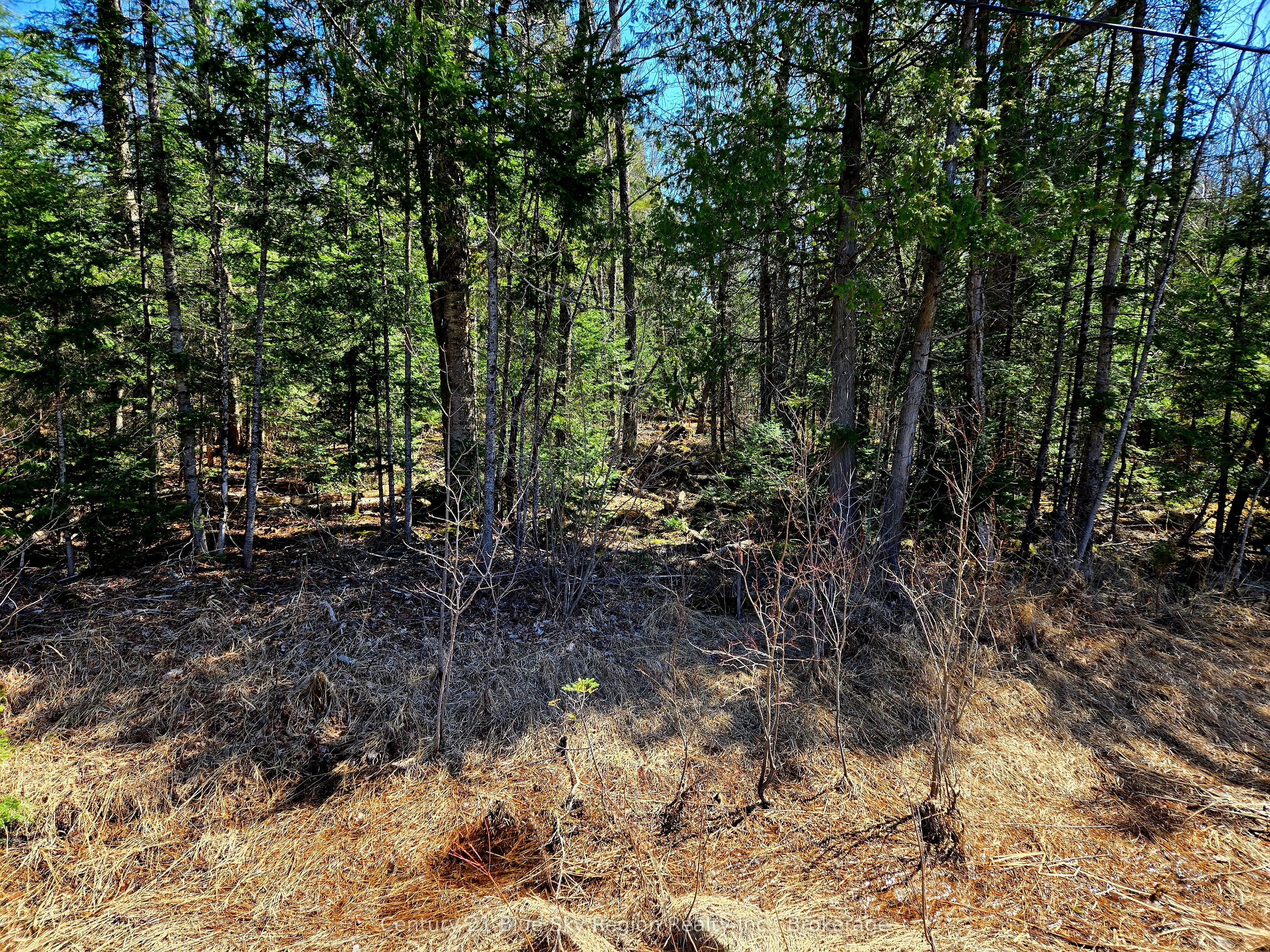 3267 Highway 534
