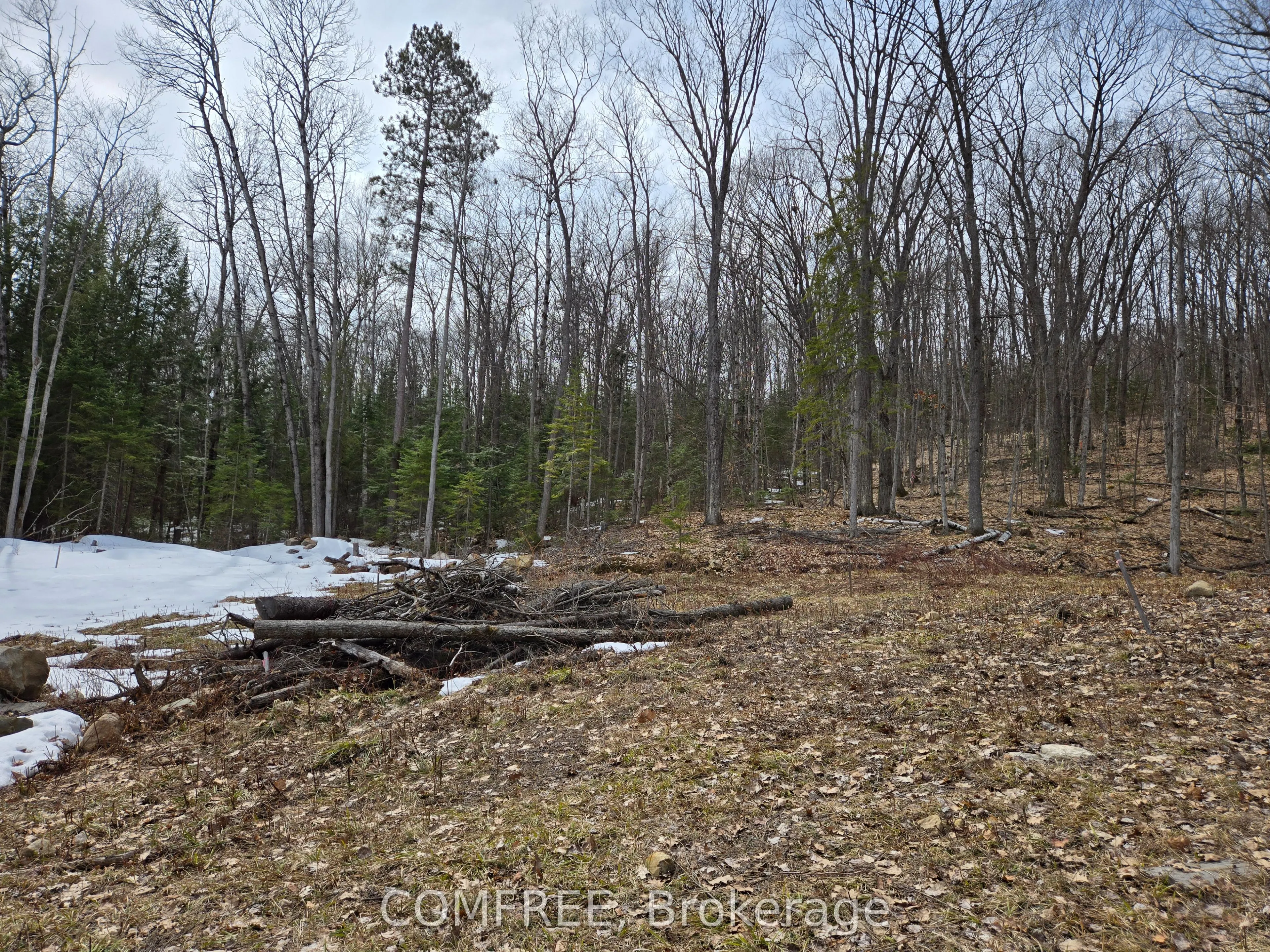 790 Mitchell Road
