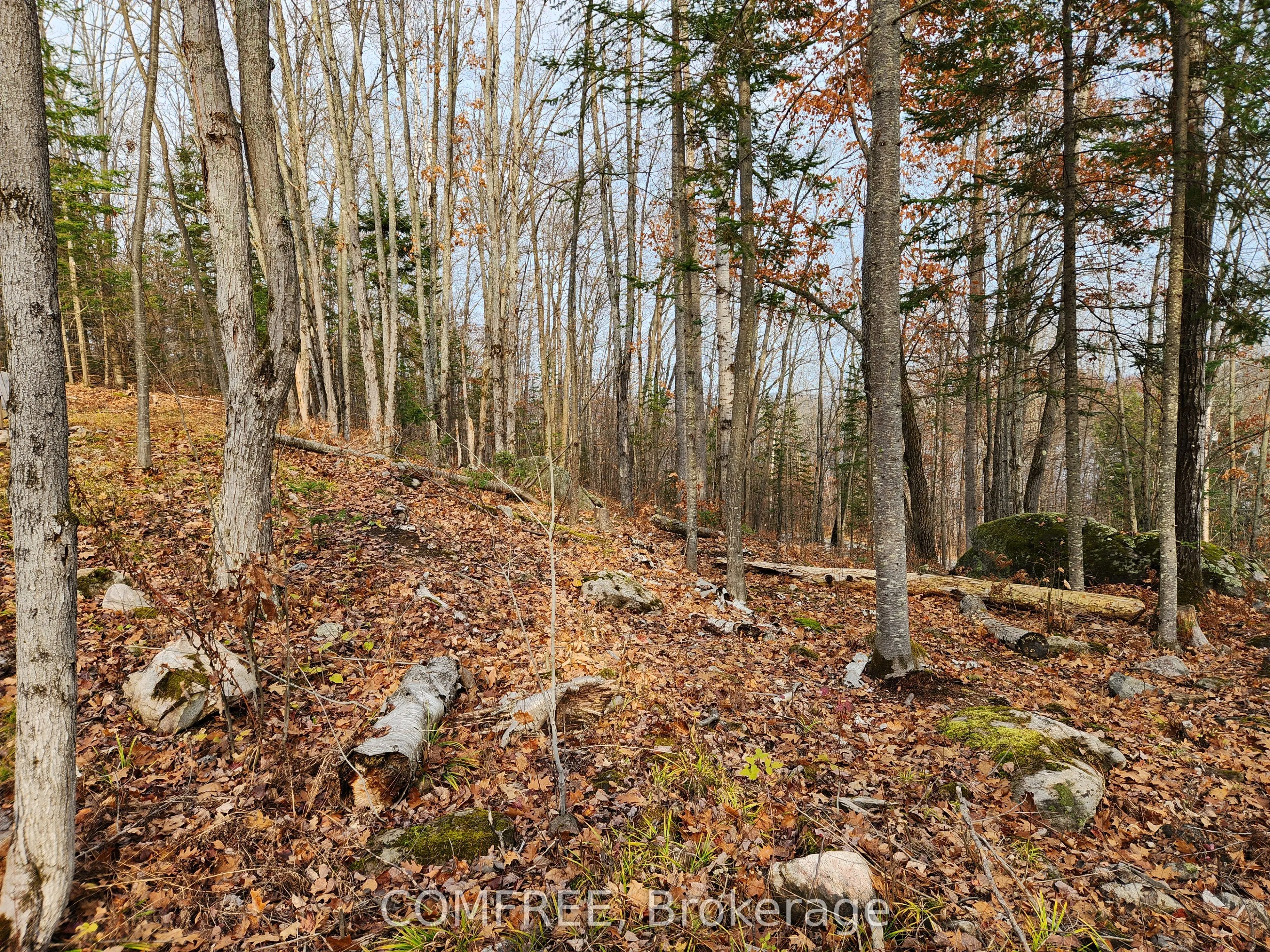 790 Mitchell Road
