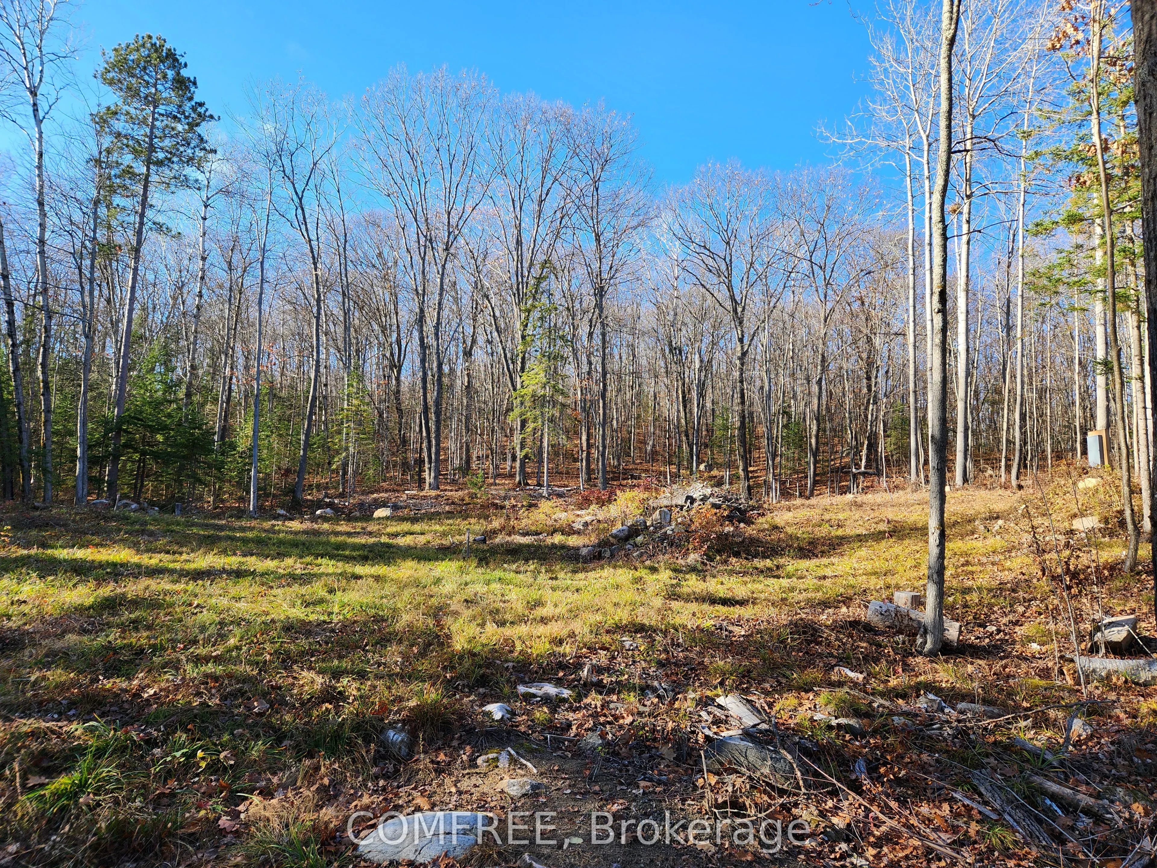 790 Mitchell Road