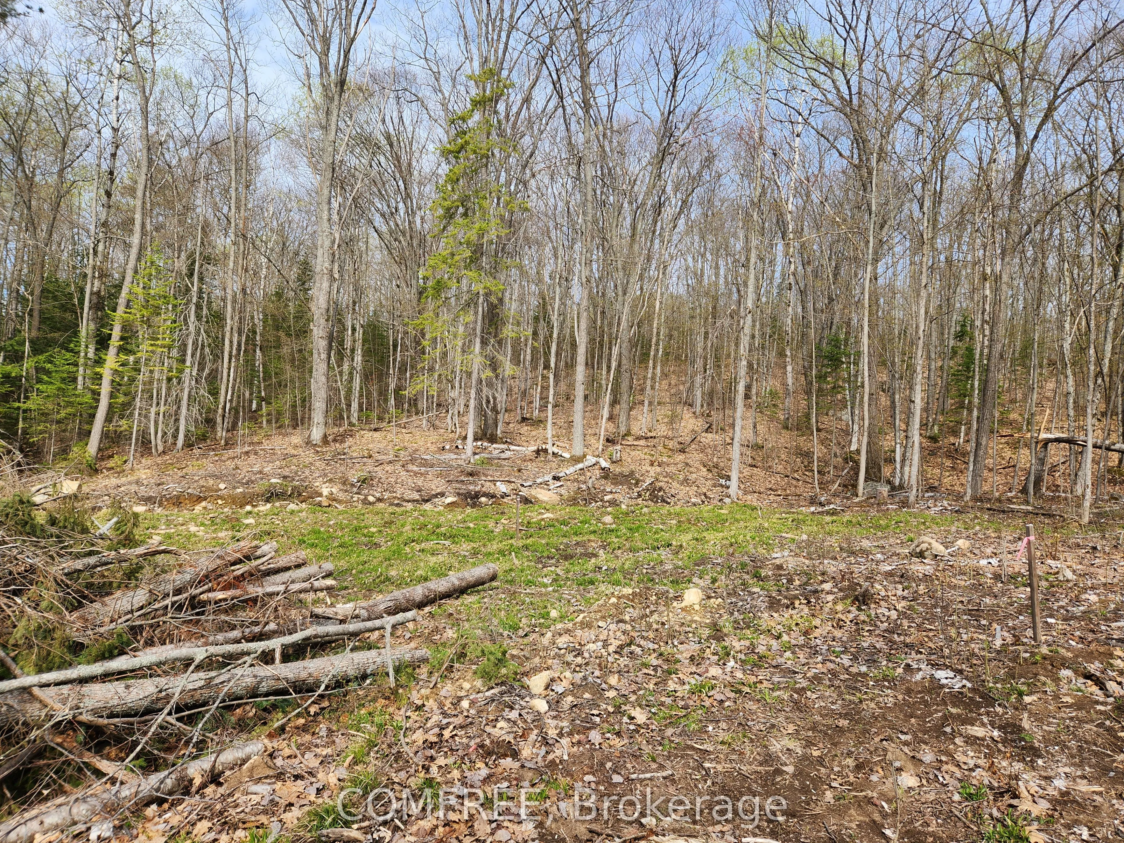 790 Mitchell Road