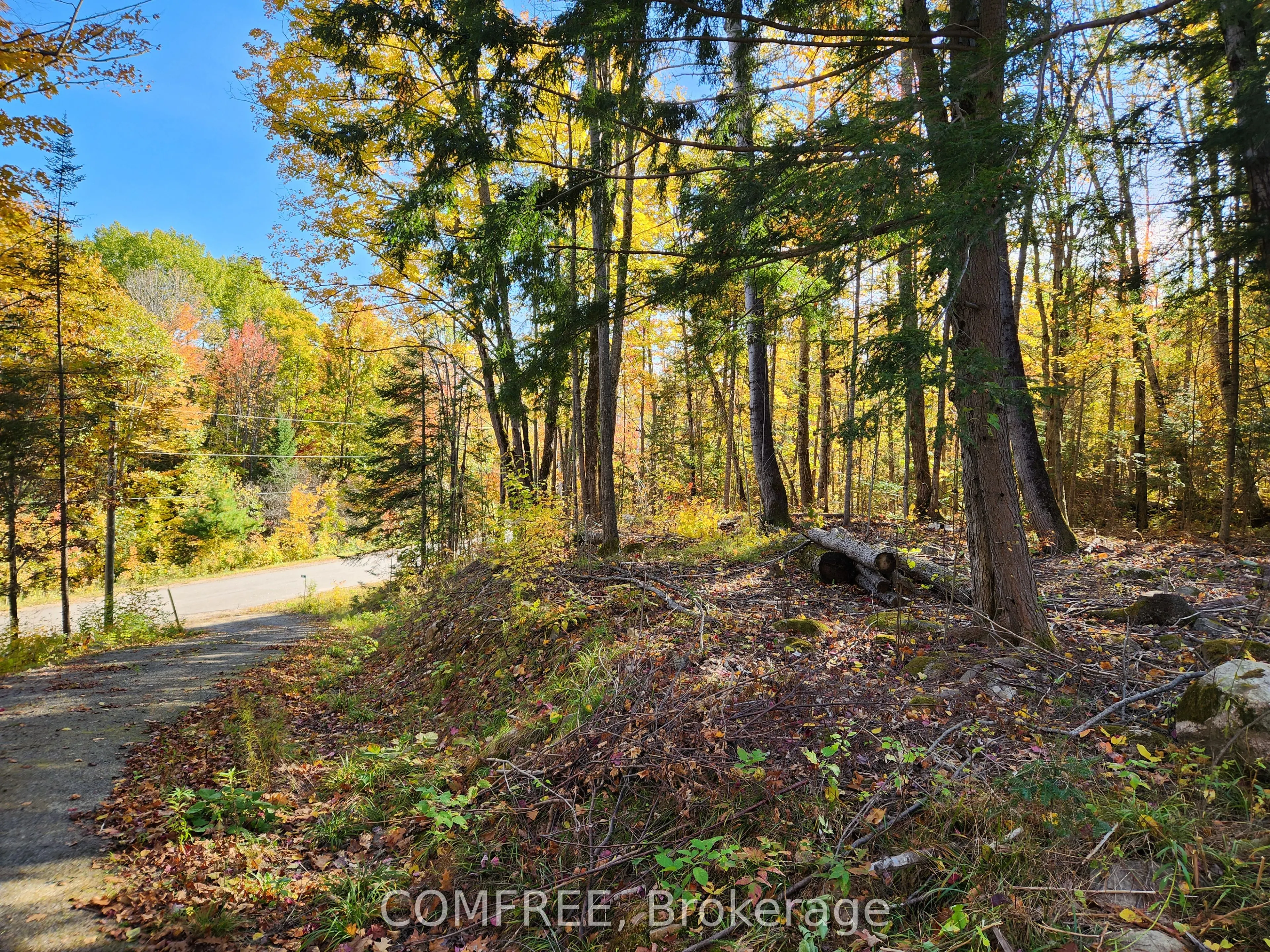 790 Mitchell Road