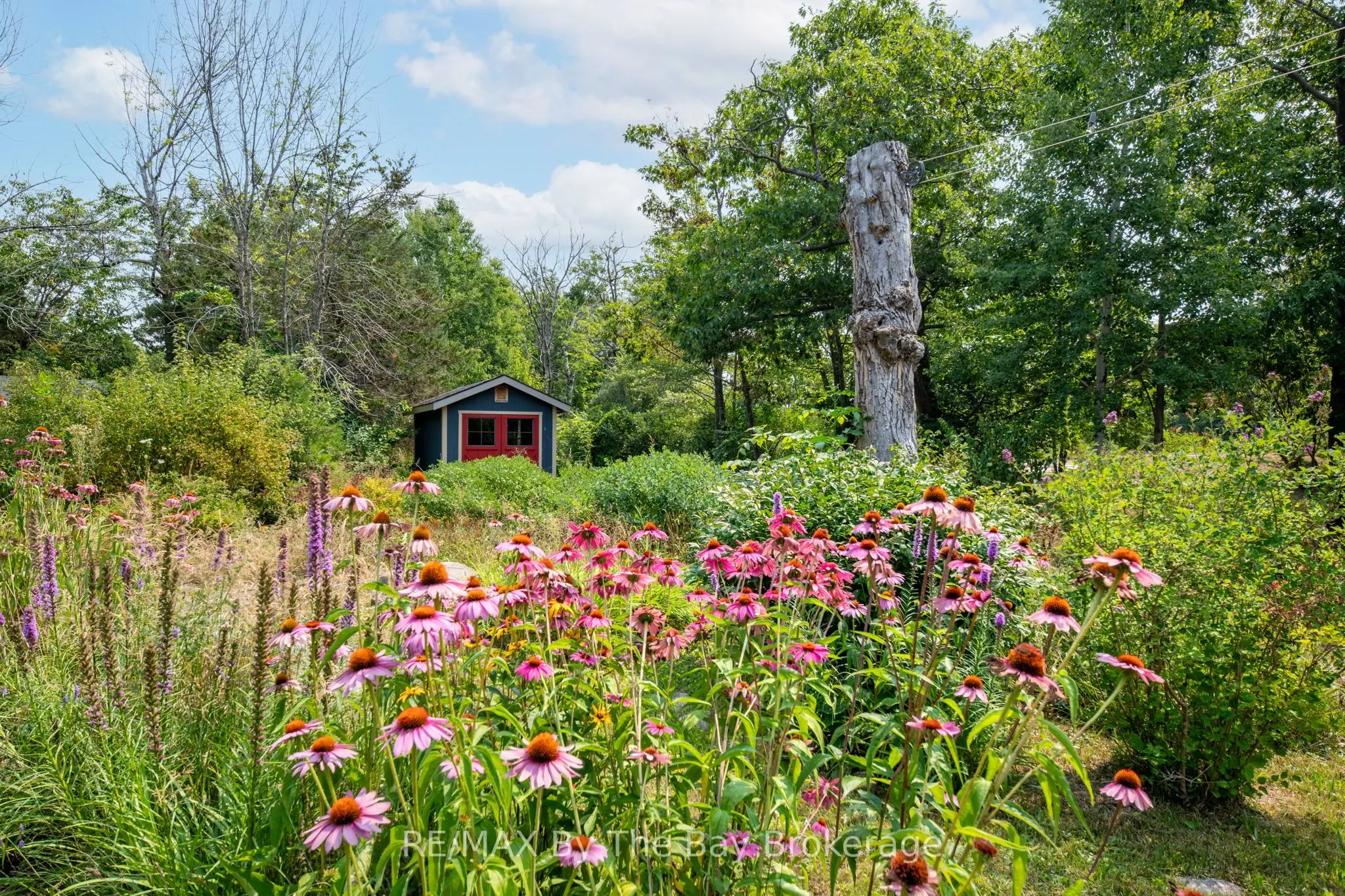 3854 Is 630 Georgian Bay