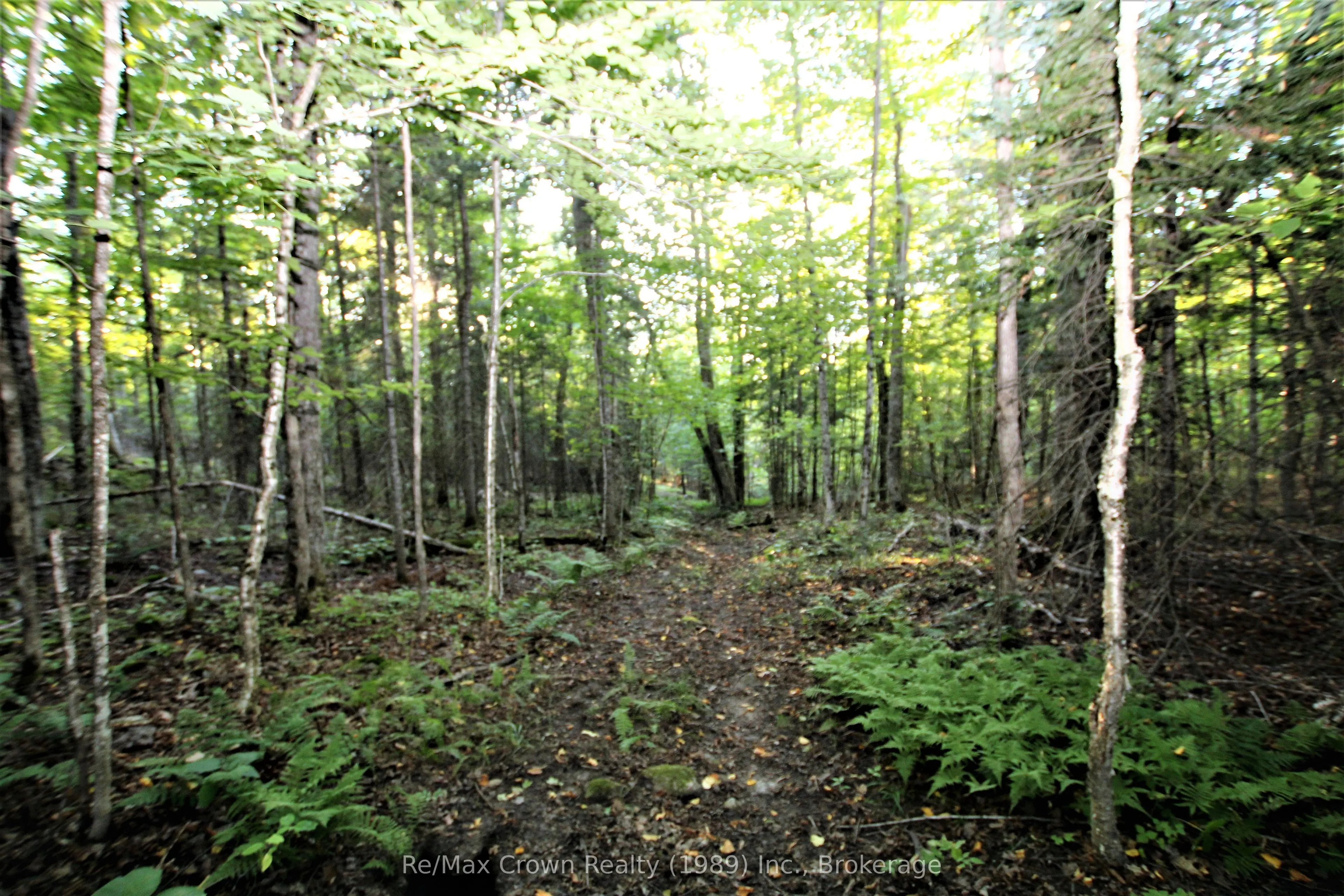 00 Pilgers Road
