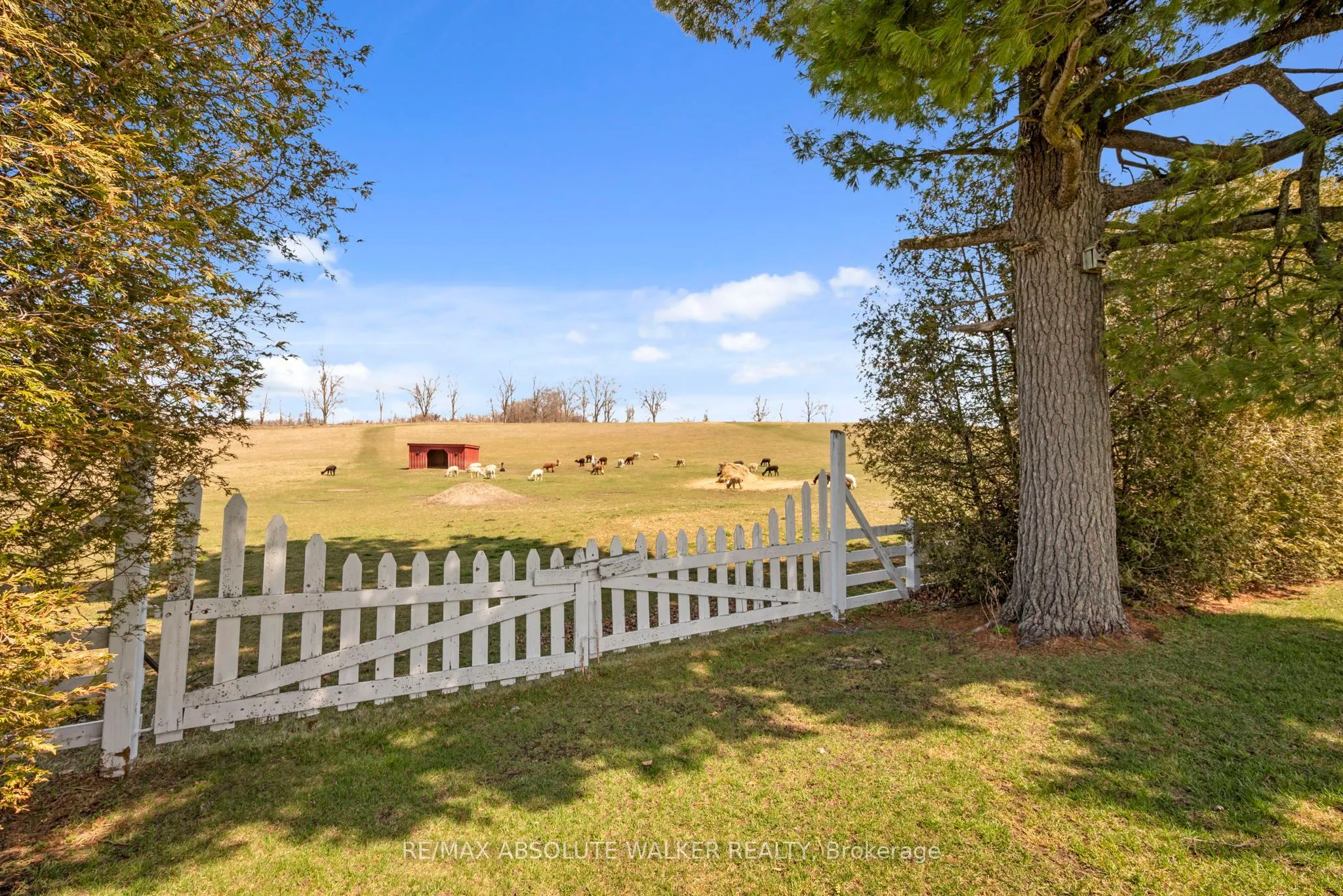 19152 County 25 Road