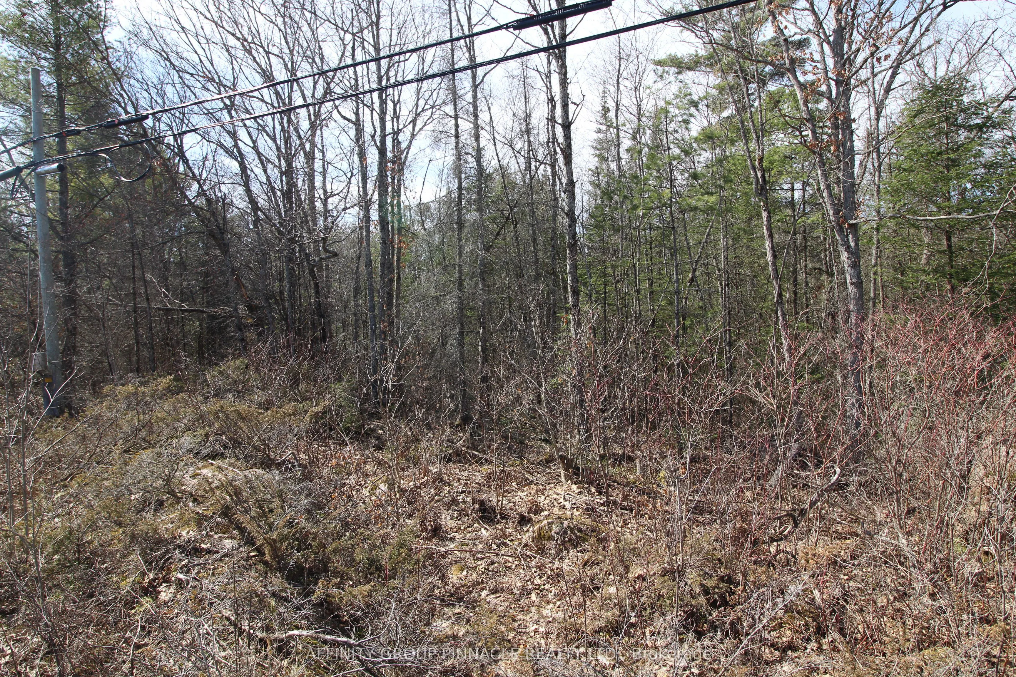 LOT 15 Concession 9