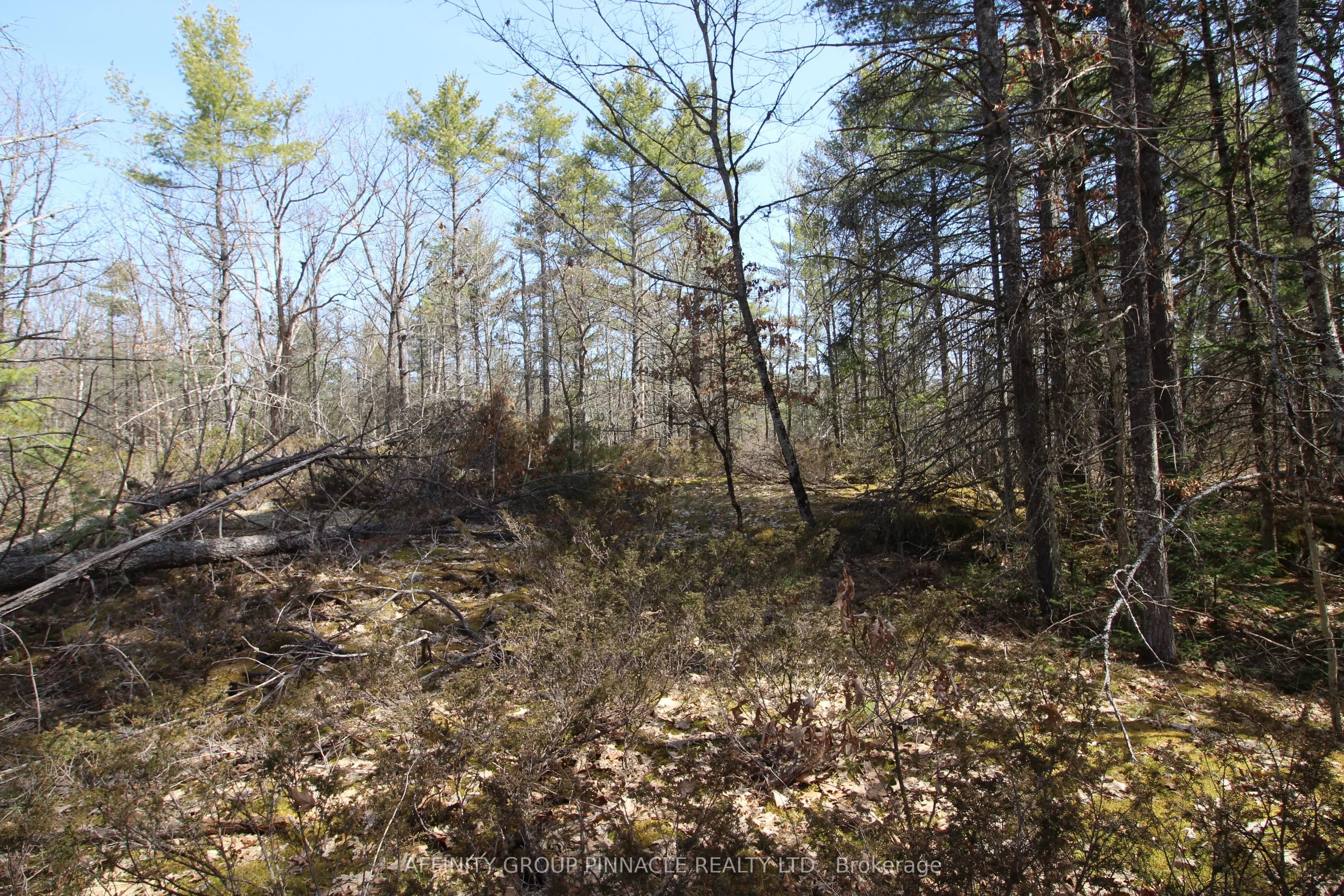LOT 15 Concession 9