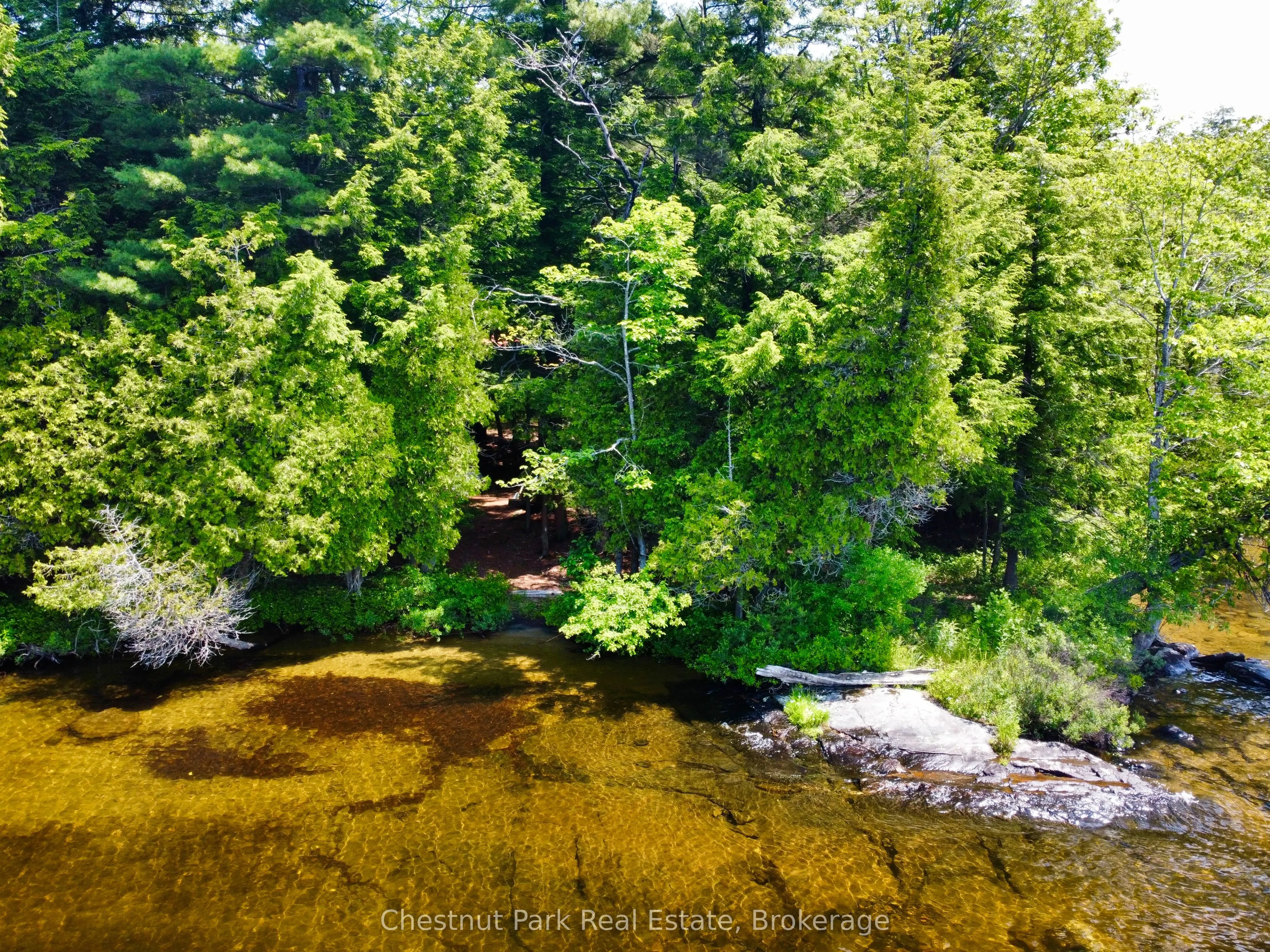 1 Cedar Island