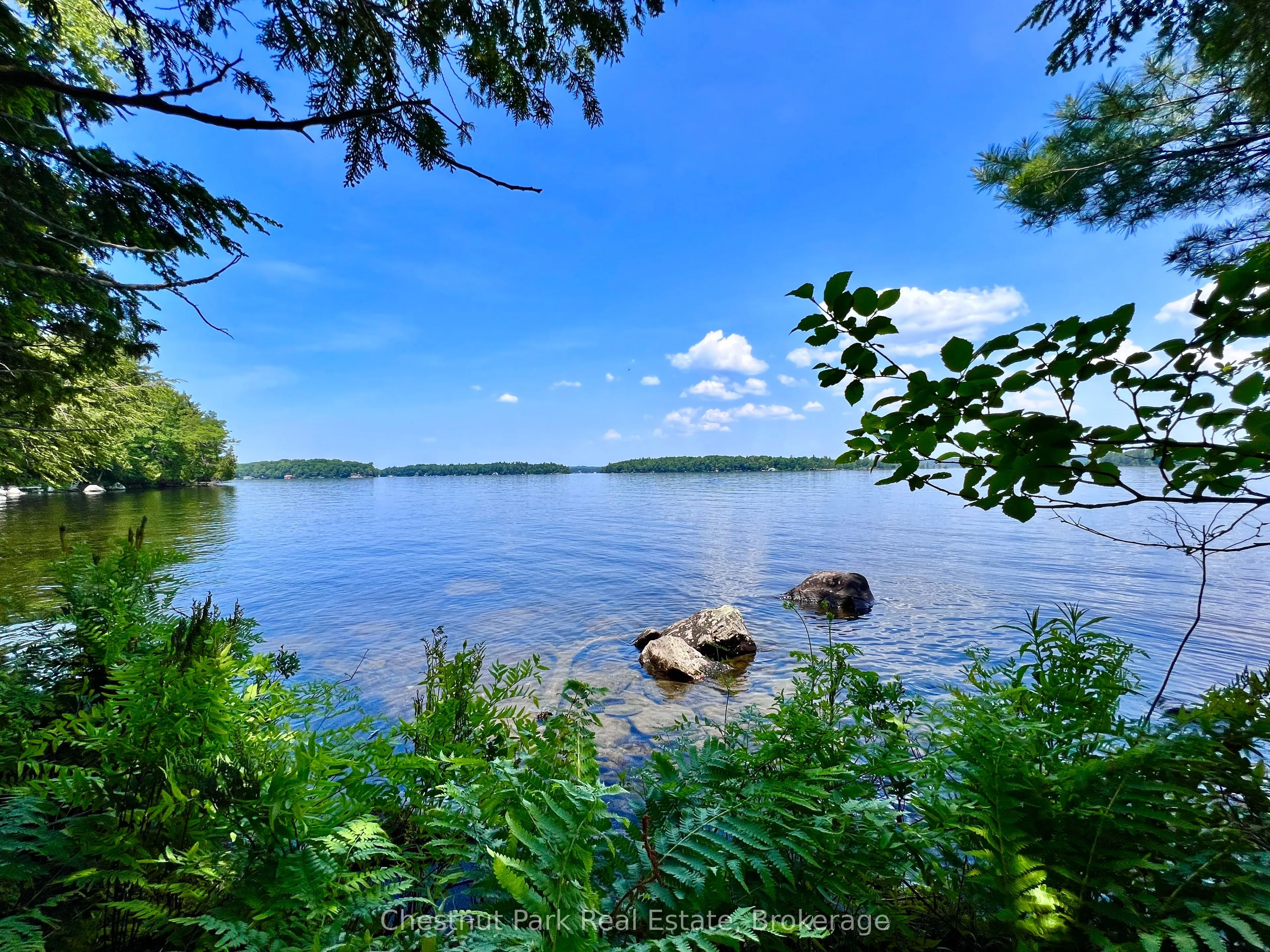 1 Cedar Island