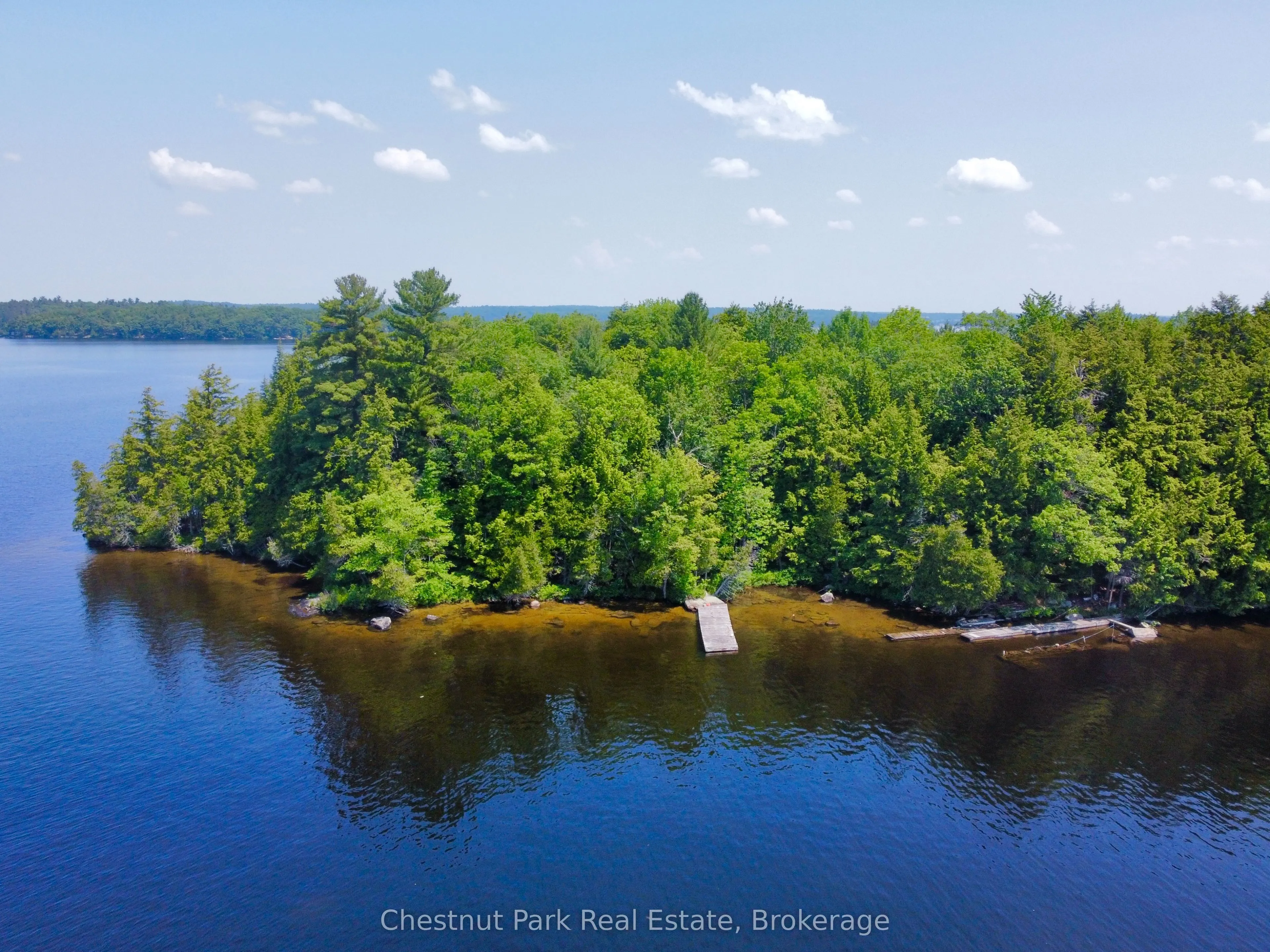 1 Cedar Island