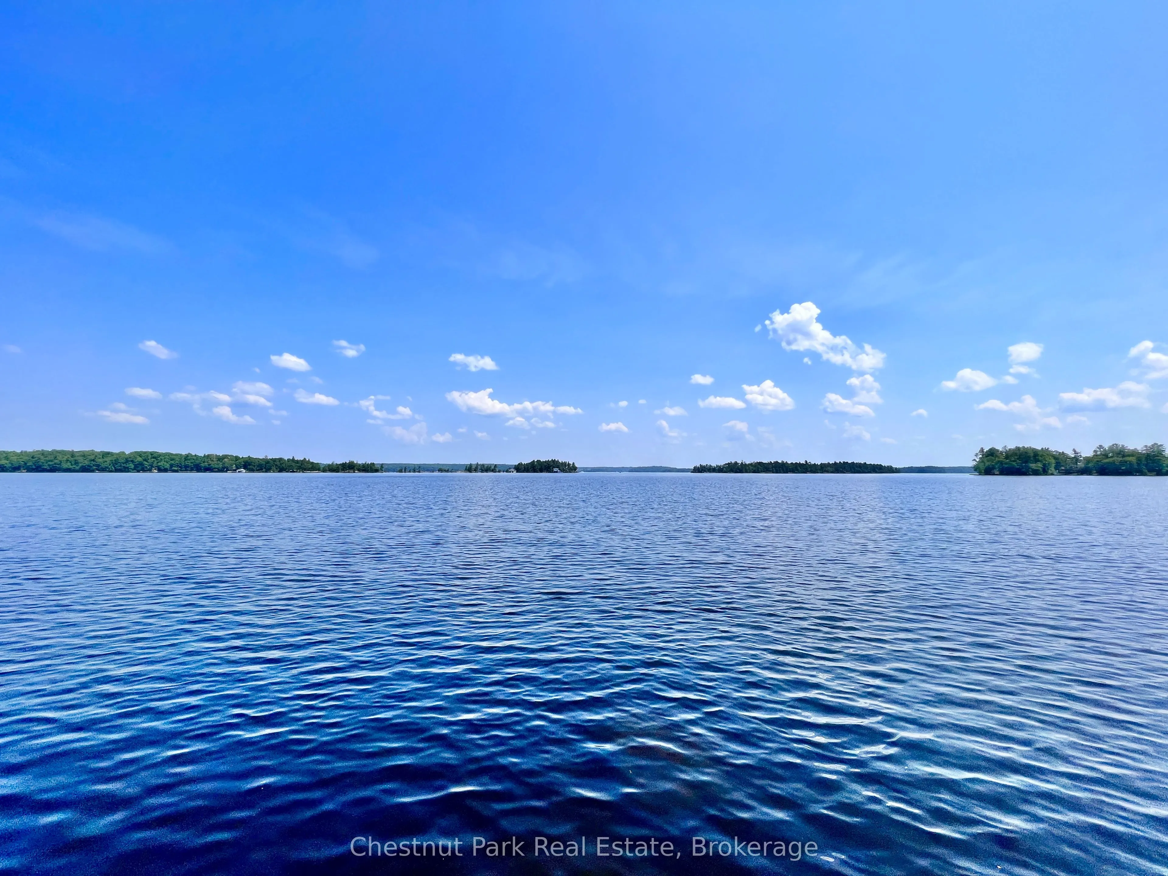 1 Cedar Island