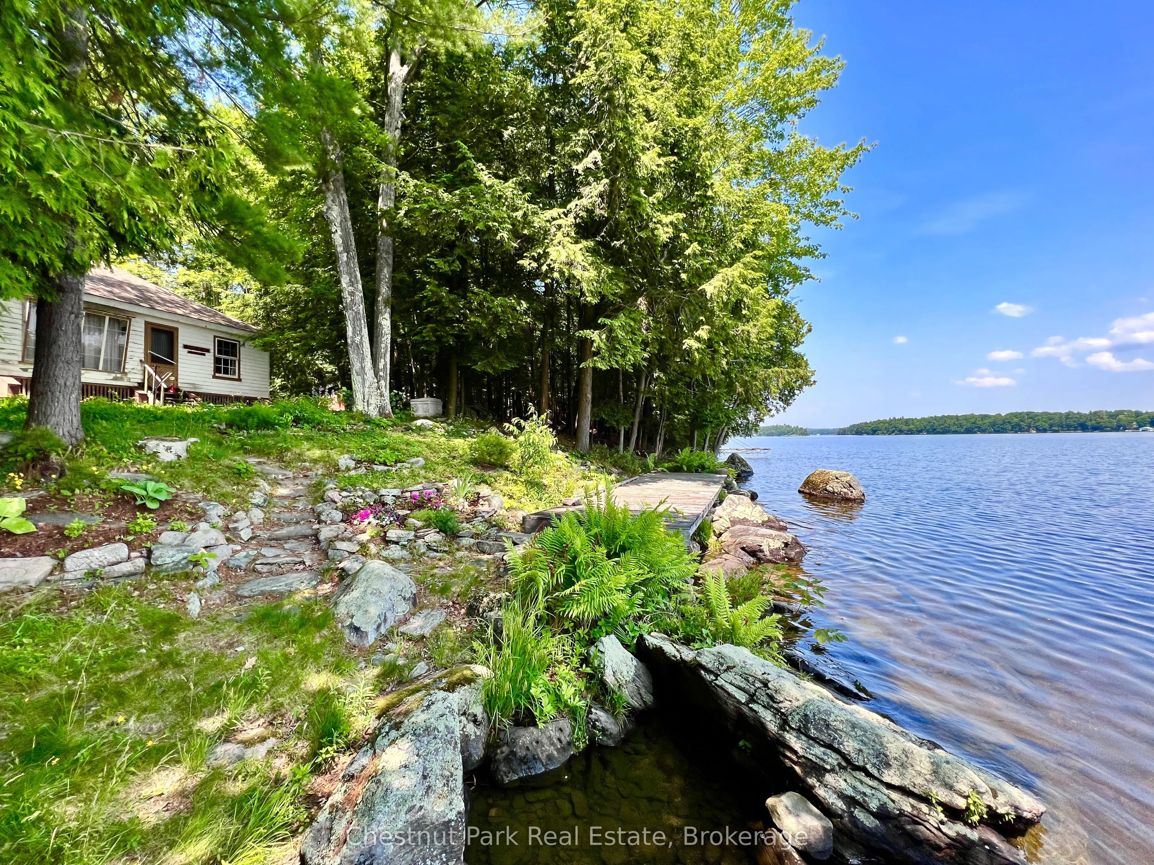 1 Cedar Island