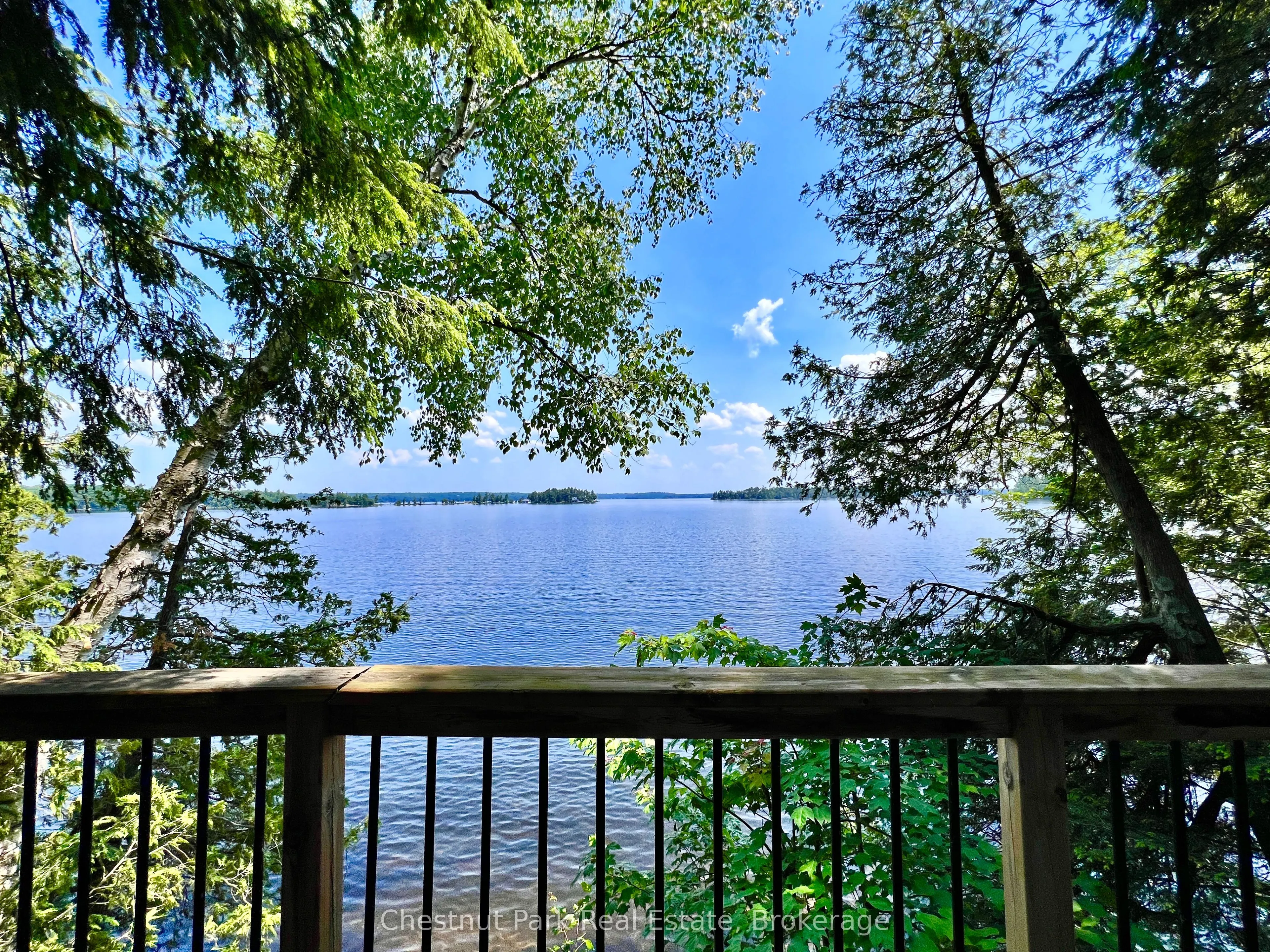 1 Cedar Island
