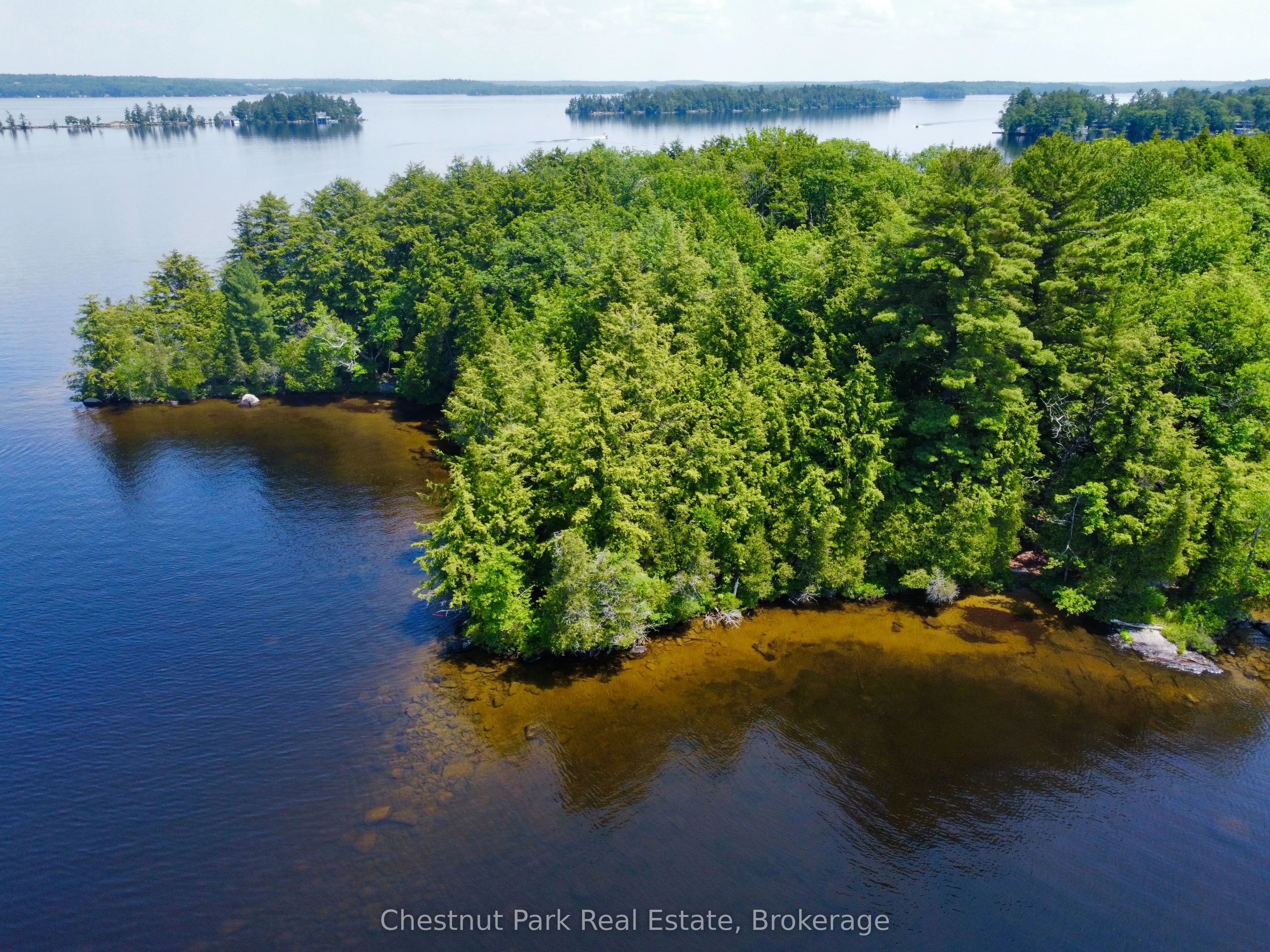 1 Cedar Island