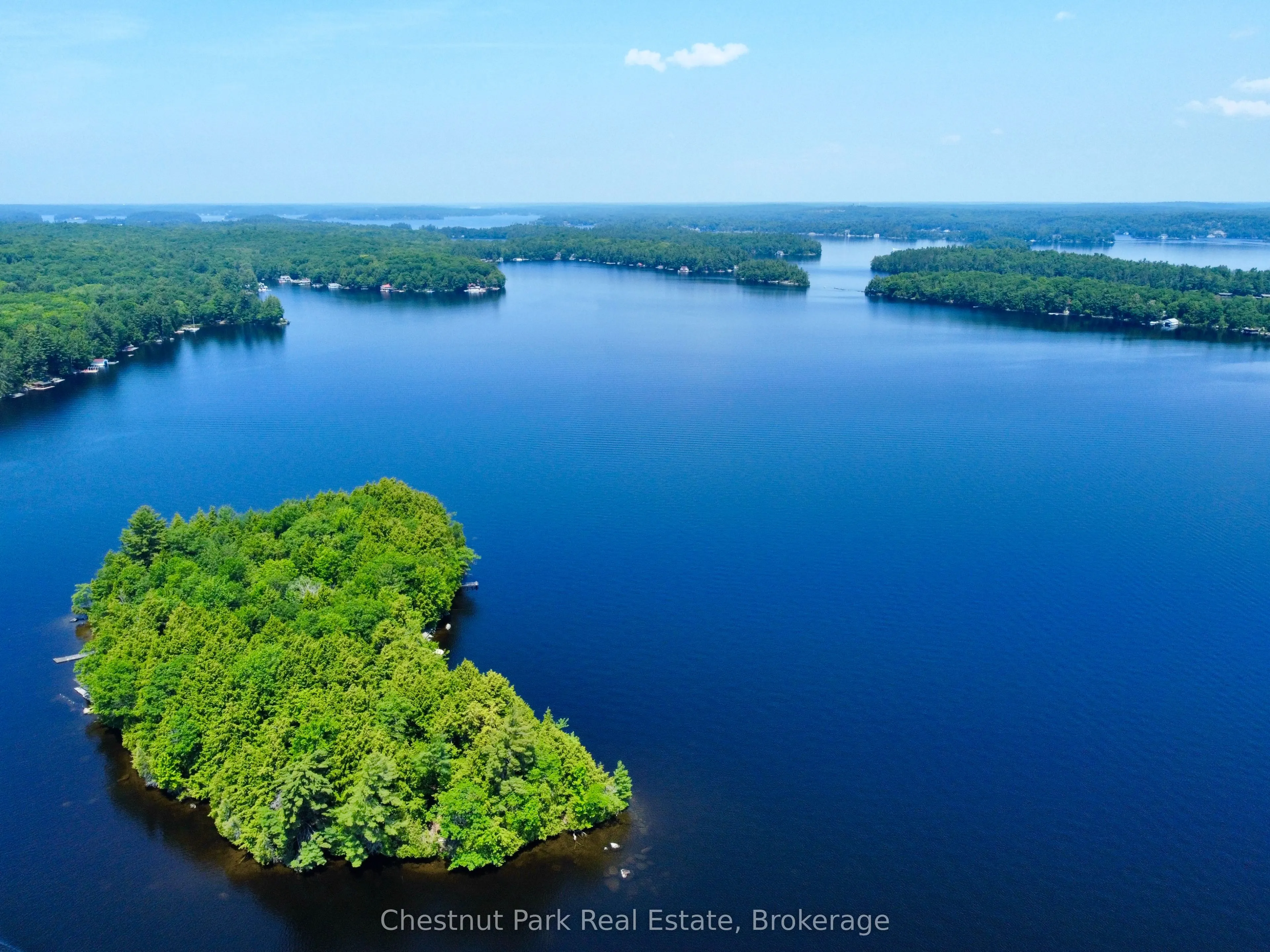 1 Cedar Island