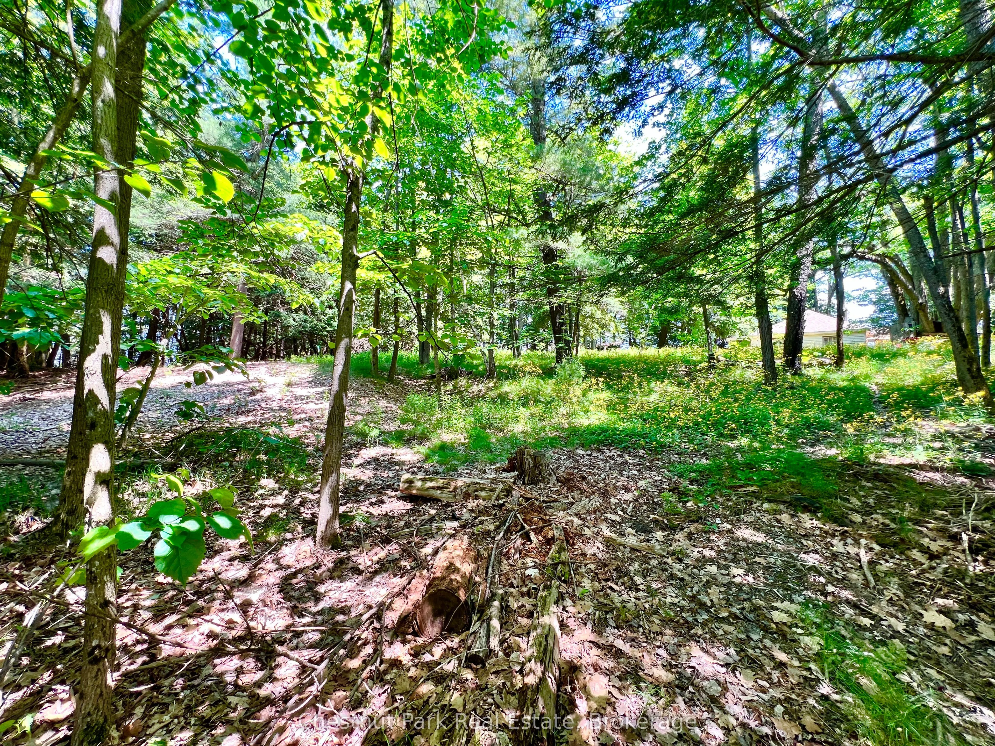 1 Cedar Island