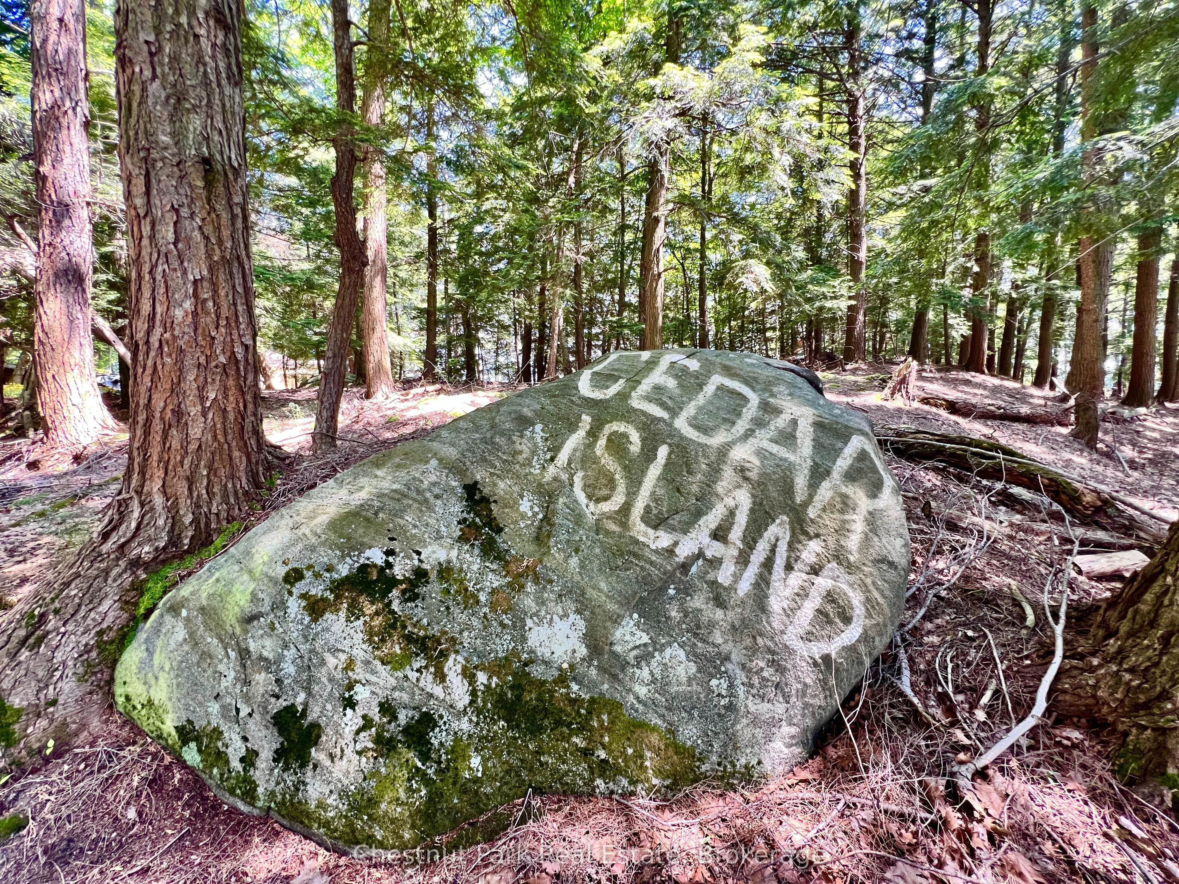 1 Cedar Island