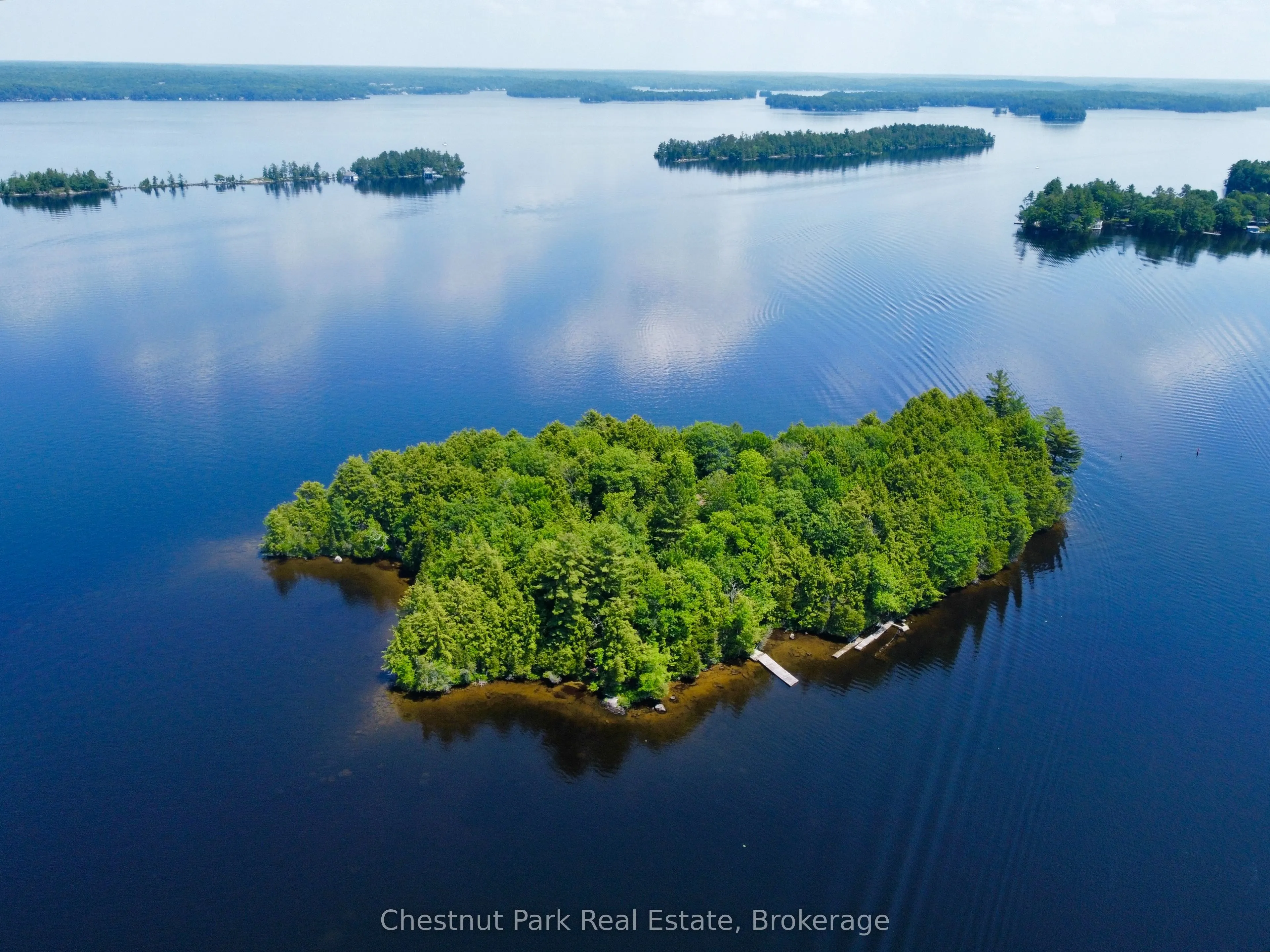 1 Cedar Island