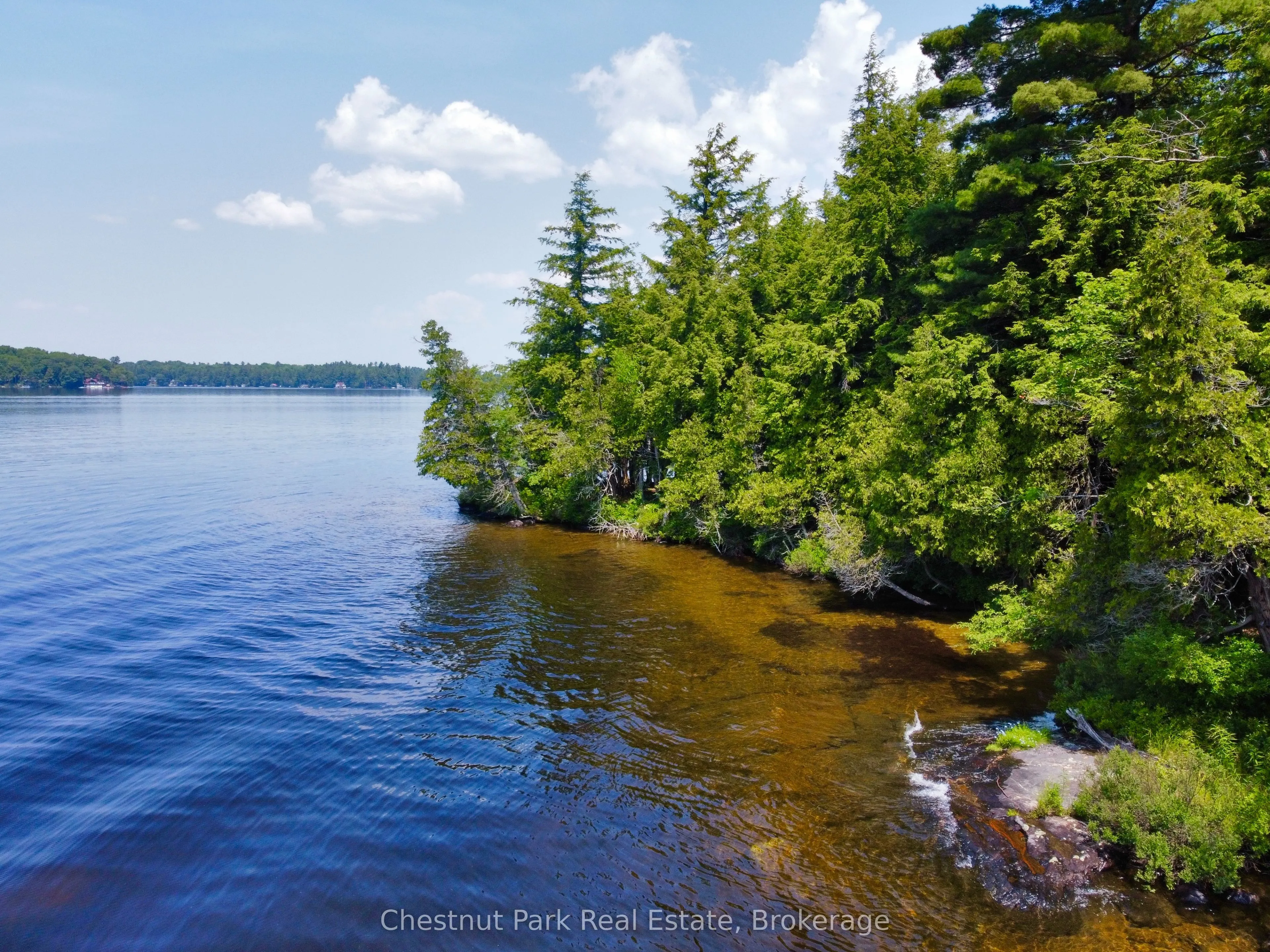1 Cedar Island