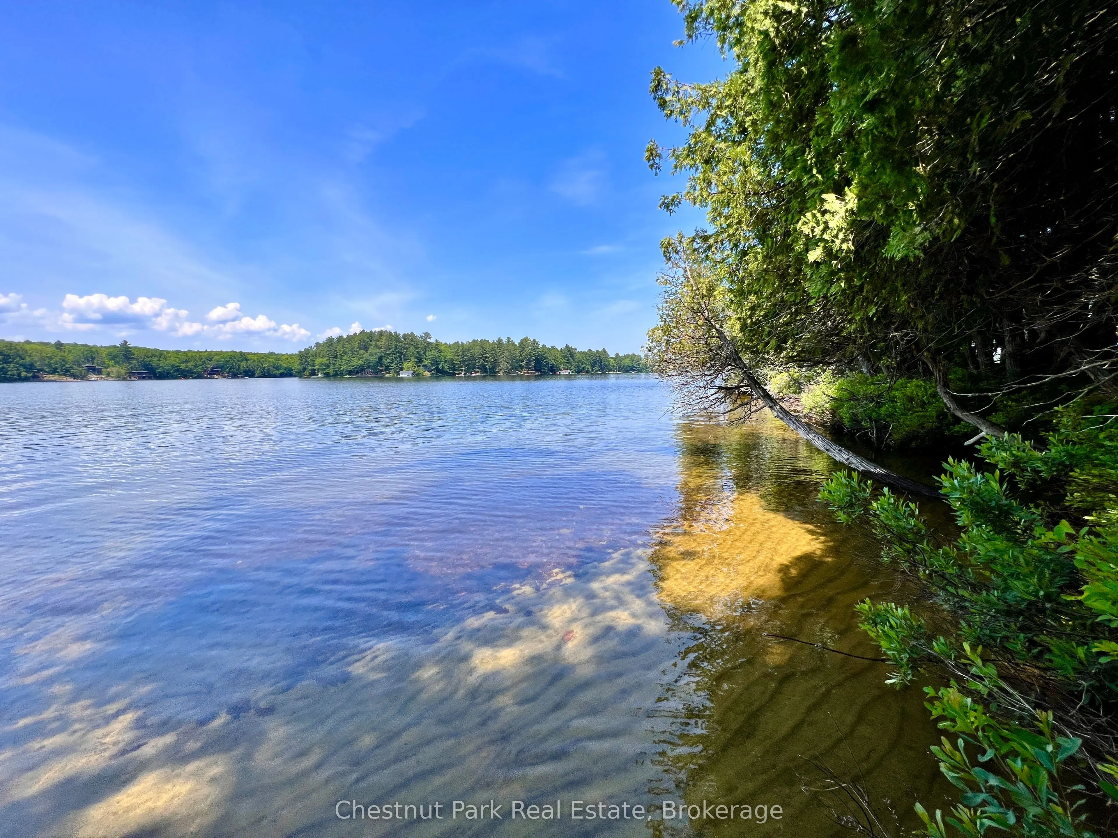1 Cedar Island