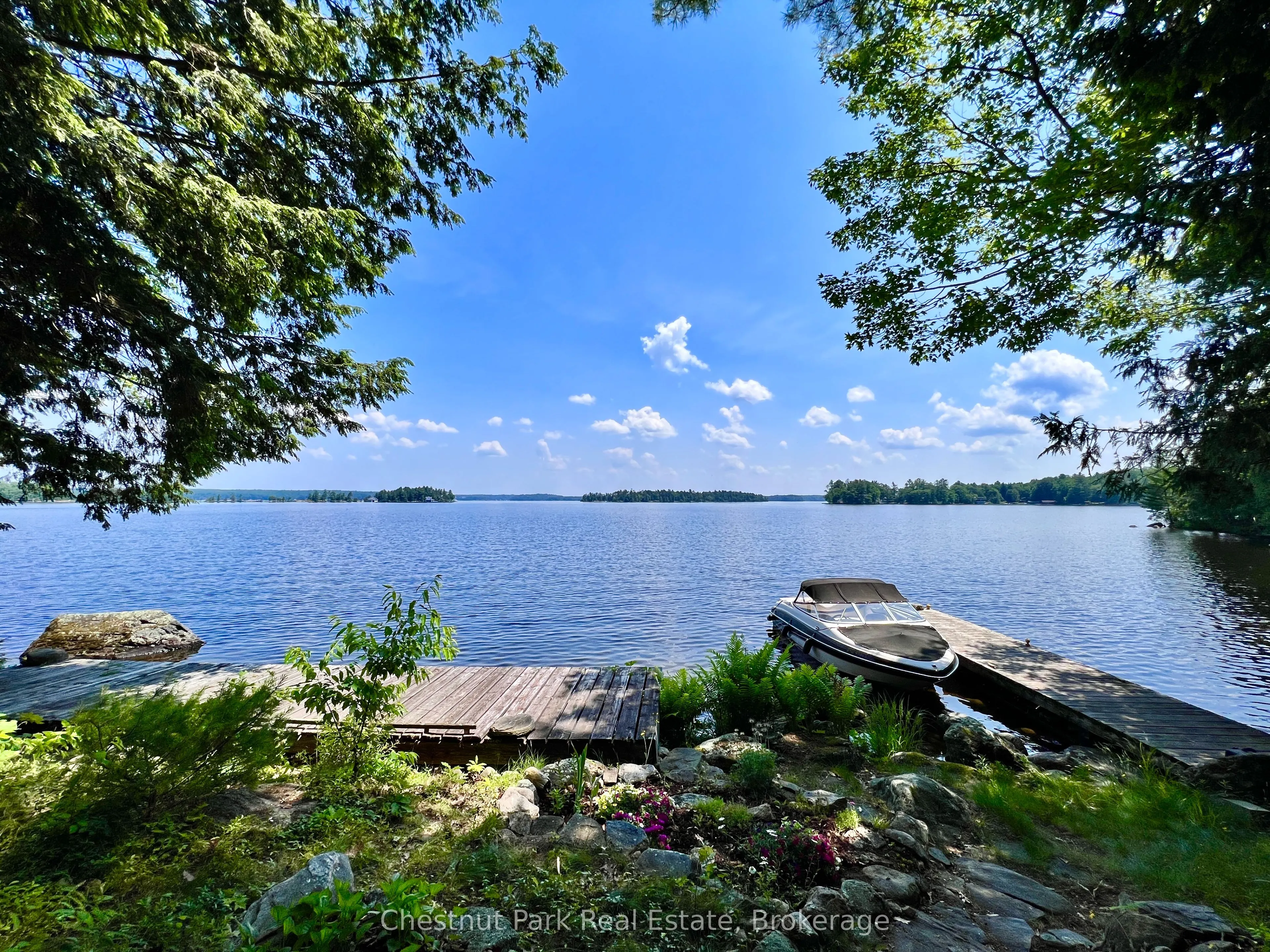 1 Cedar Island