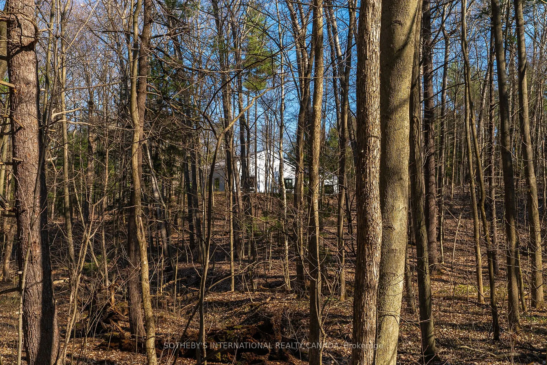 4556 Eagleson Line